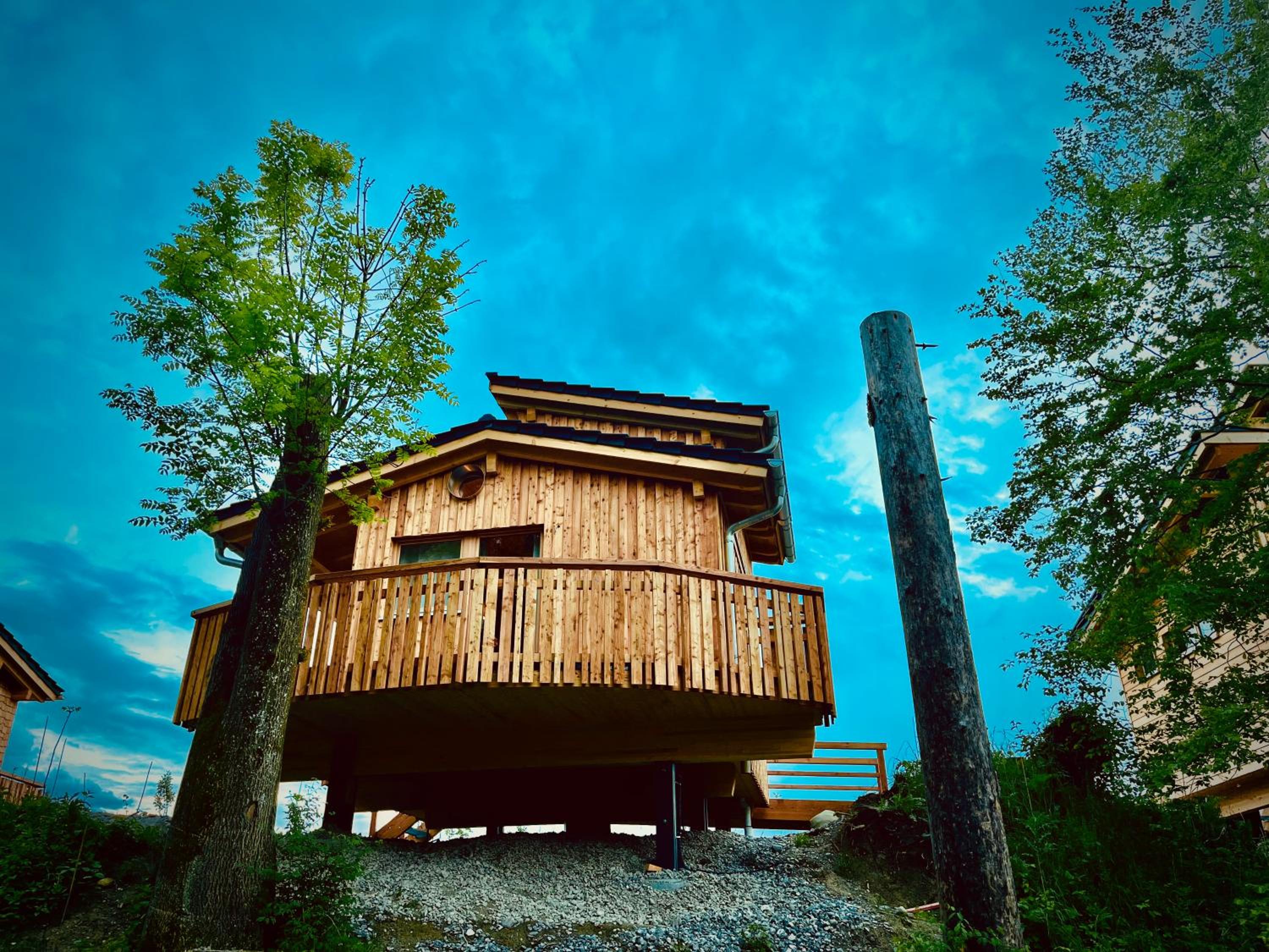 Wald ist Zukunft