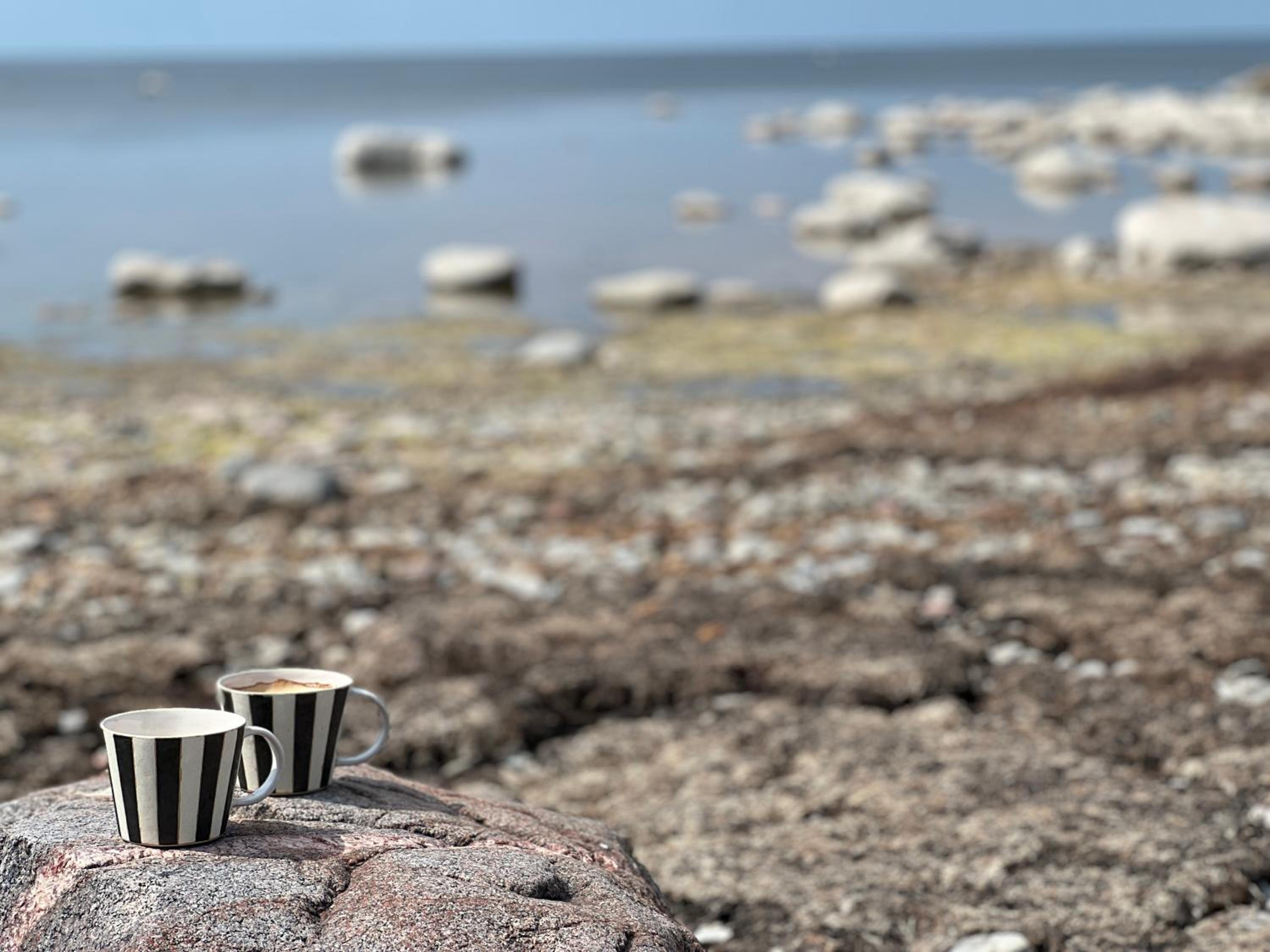 Saaremaa majake mere ääres