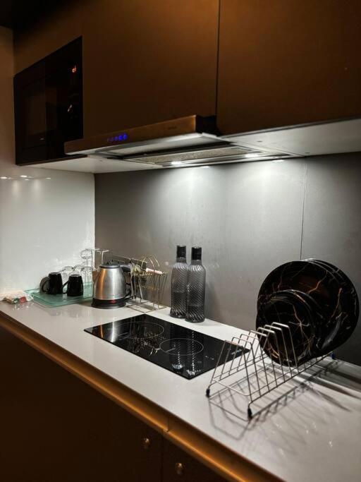 The Grey Stone- City and River View Apartment view 5