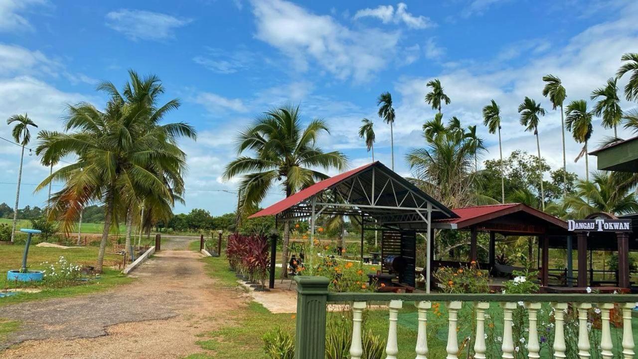 Dangau Tokwan photo 3