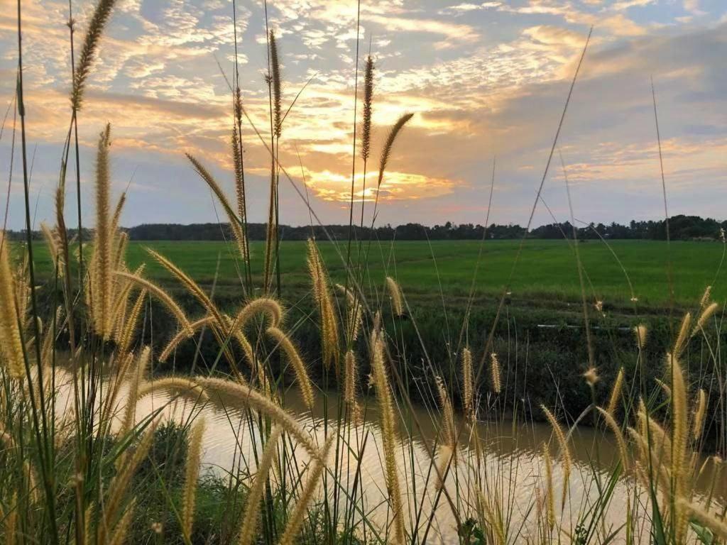 Dangau Tokwan photo 4