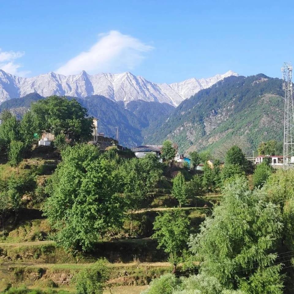 Anchal House view 2