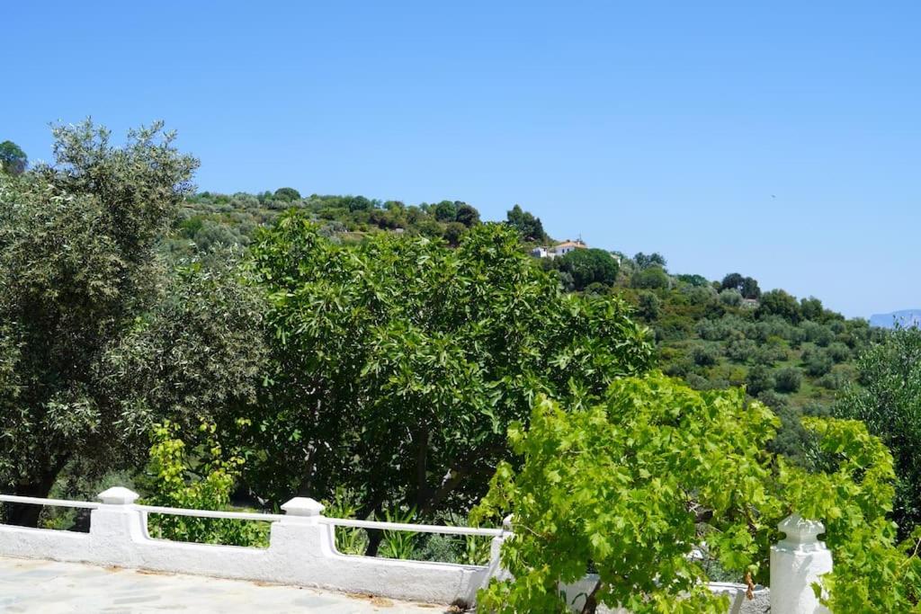 Villa Aspalathus Red, Pool and Panoramic Views to fulfil your Aegean memories
