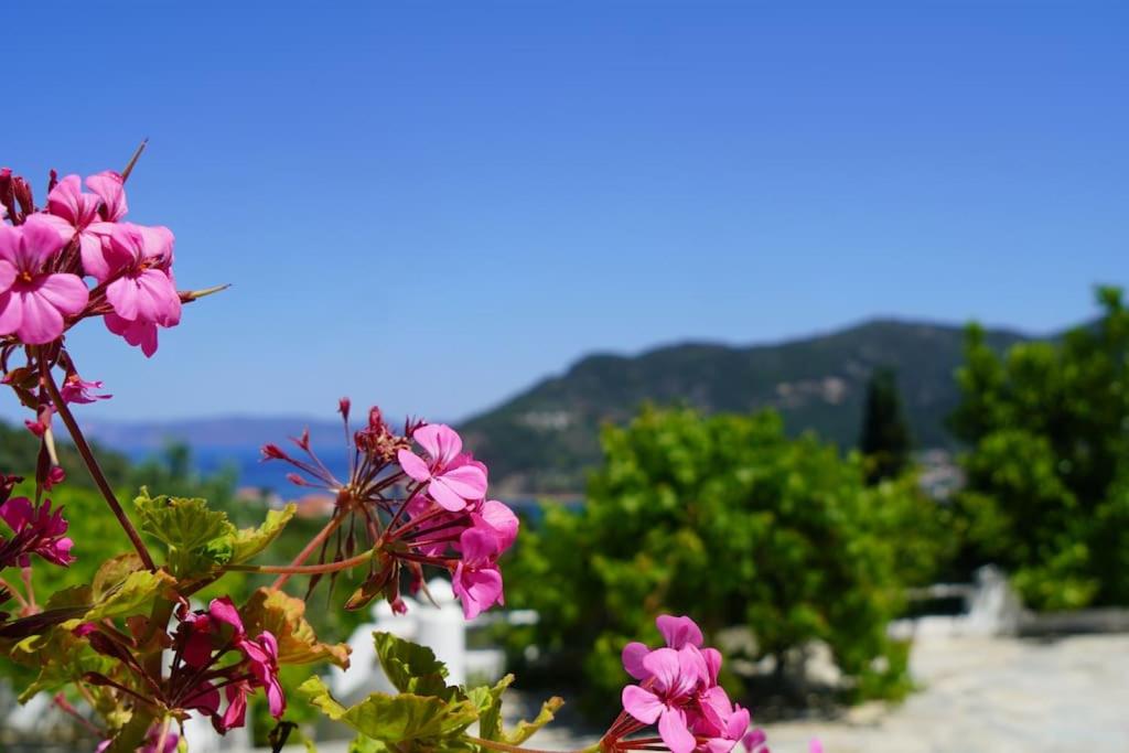 Villa Aspalathus Red, Pool and Panoramic Views to fulfil your Aegean memories