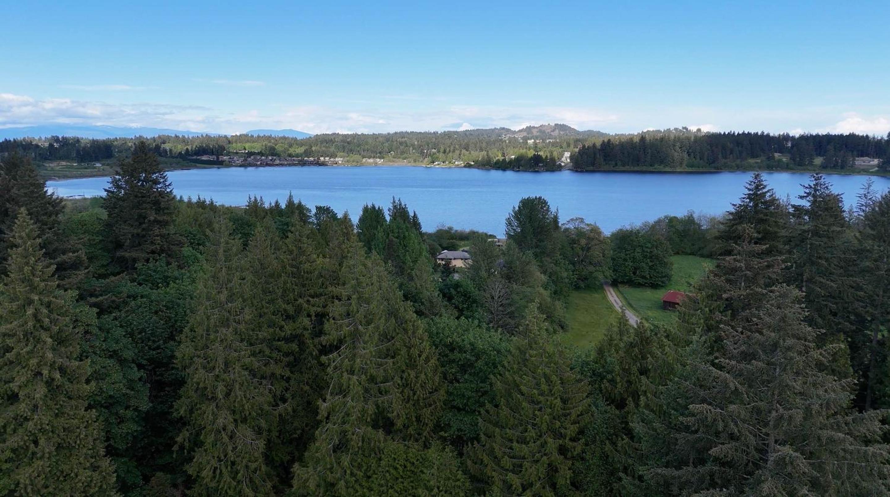 3-Hectare Grand Forest Estate - A Tranquil Hideaway