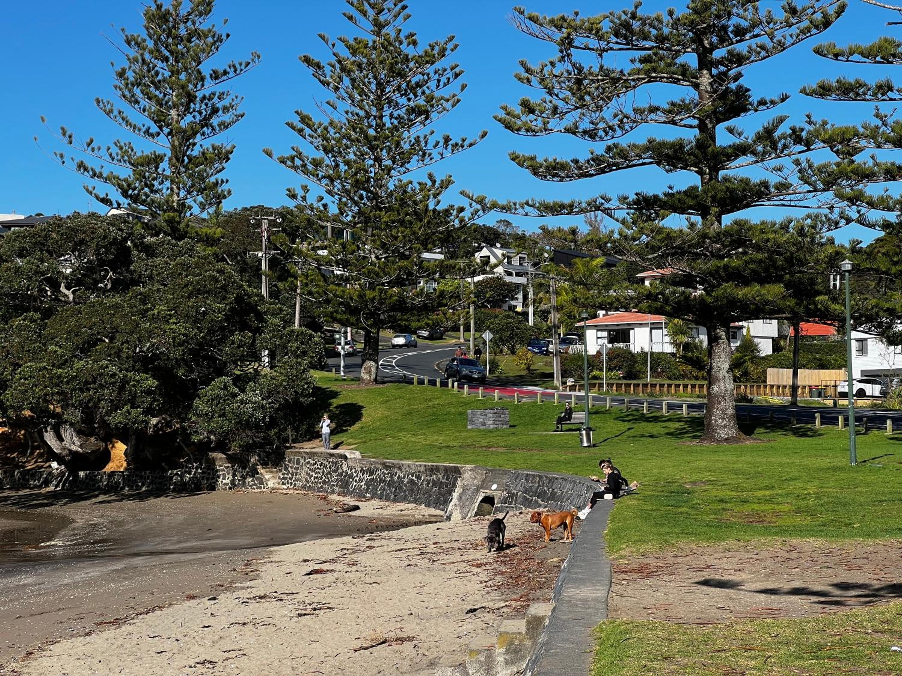 Photo 45