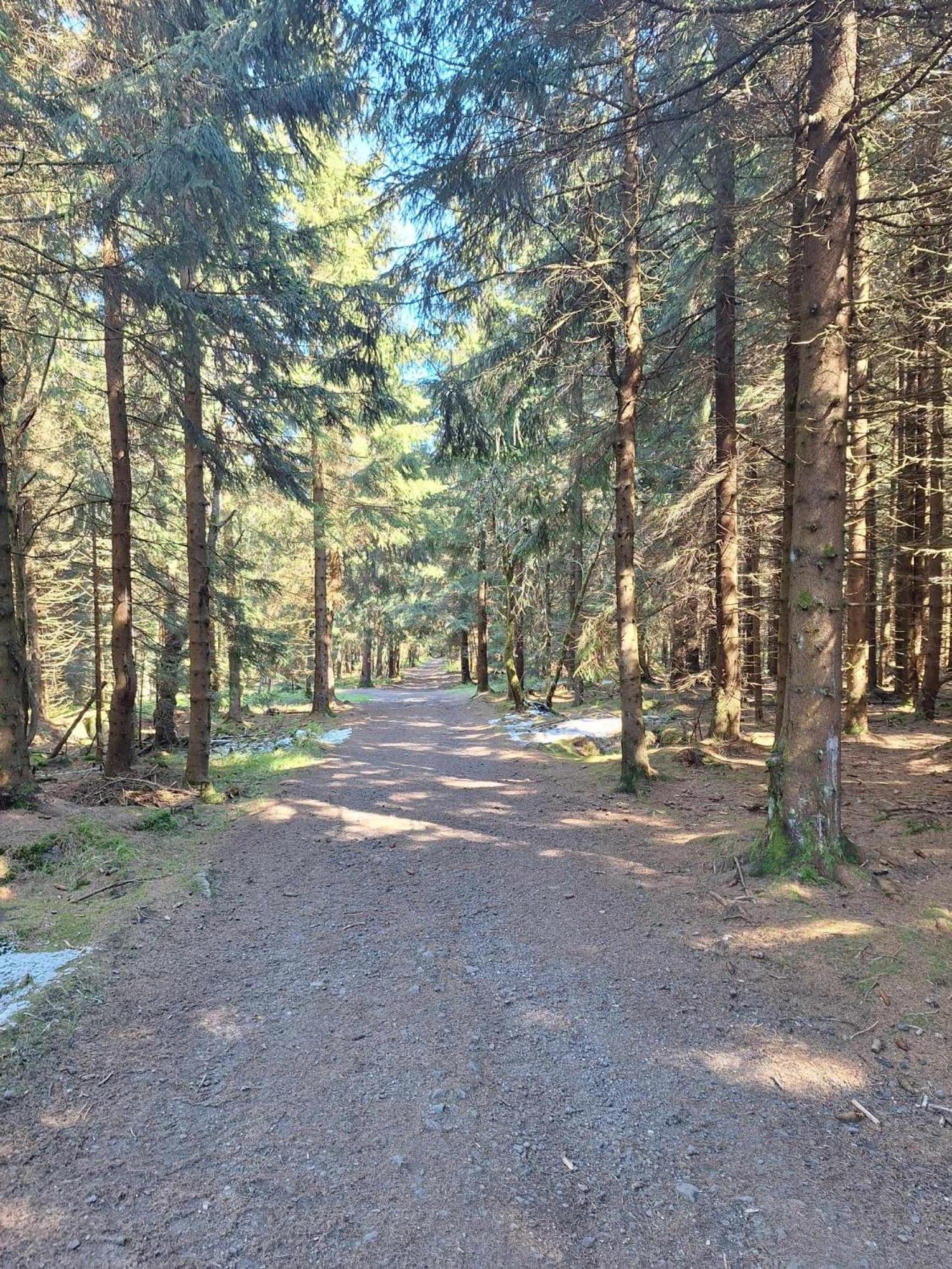 Dvouložnicový apartmán Sluníčko