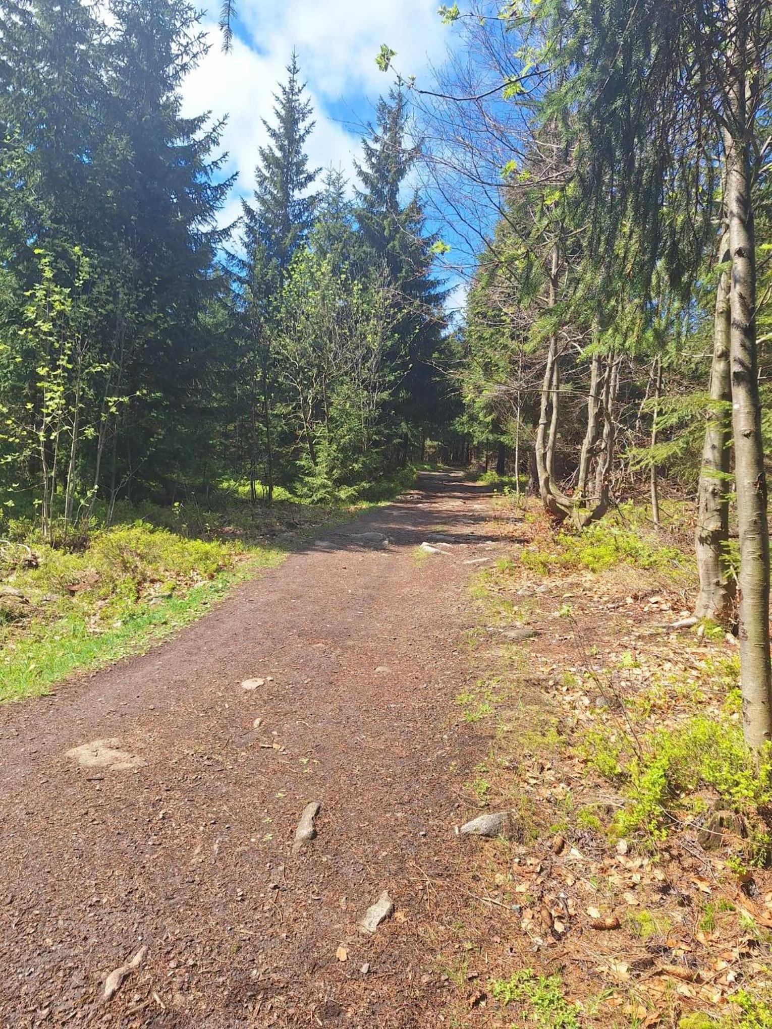 Dvouložnicový apartmán Sluníčko