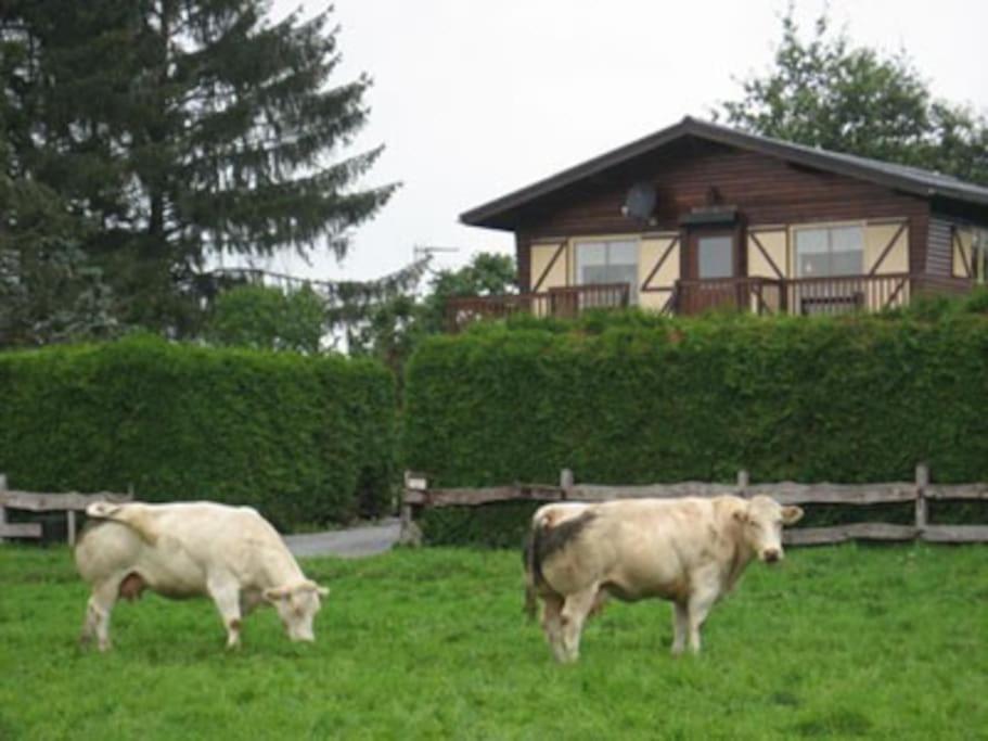Chalet Wijd Weg