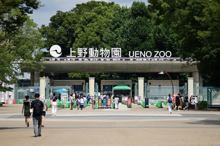 浅草圈4层独栋别墅 免费停车场 近车站 可直达机场