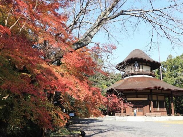 浅草圈4层独栋别墅 免费停车场 近车站 可直达机场