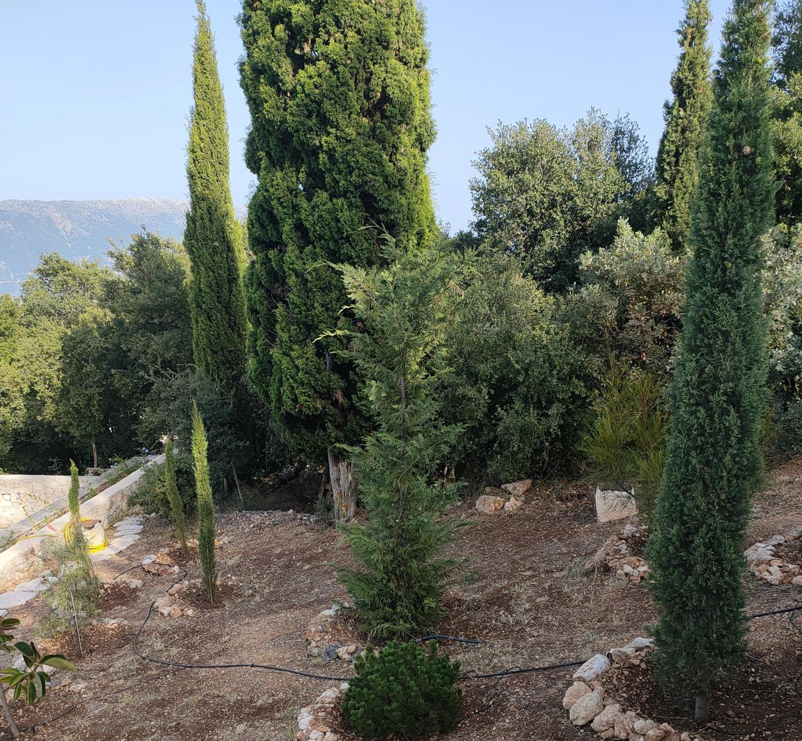 Villa Sasà
