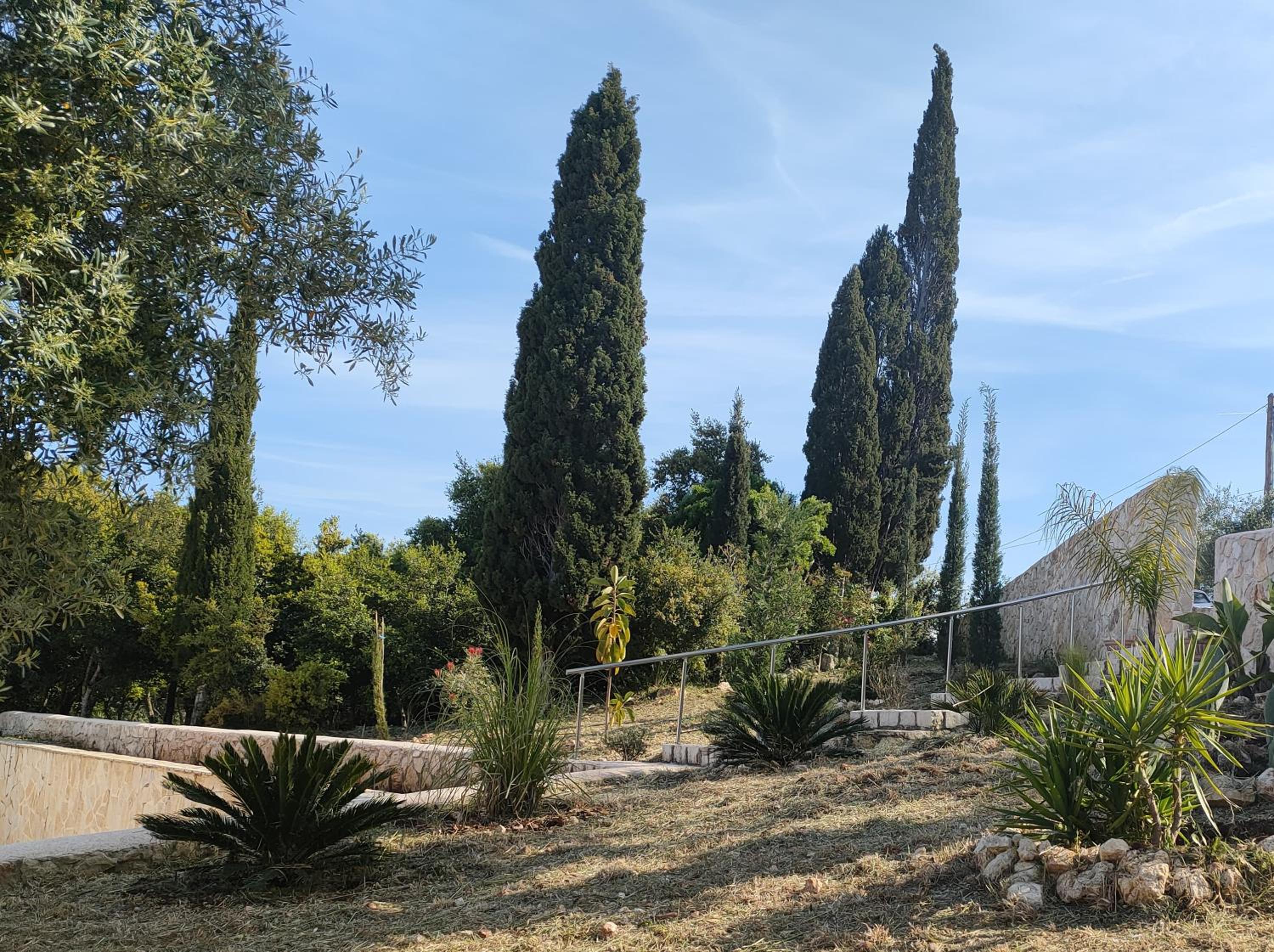 Villa Sasà