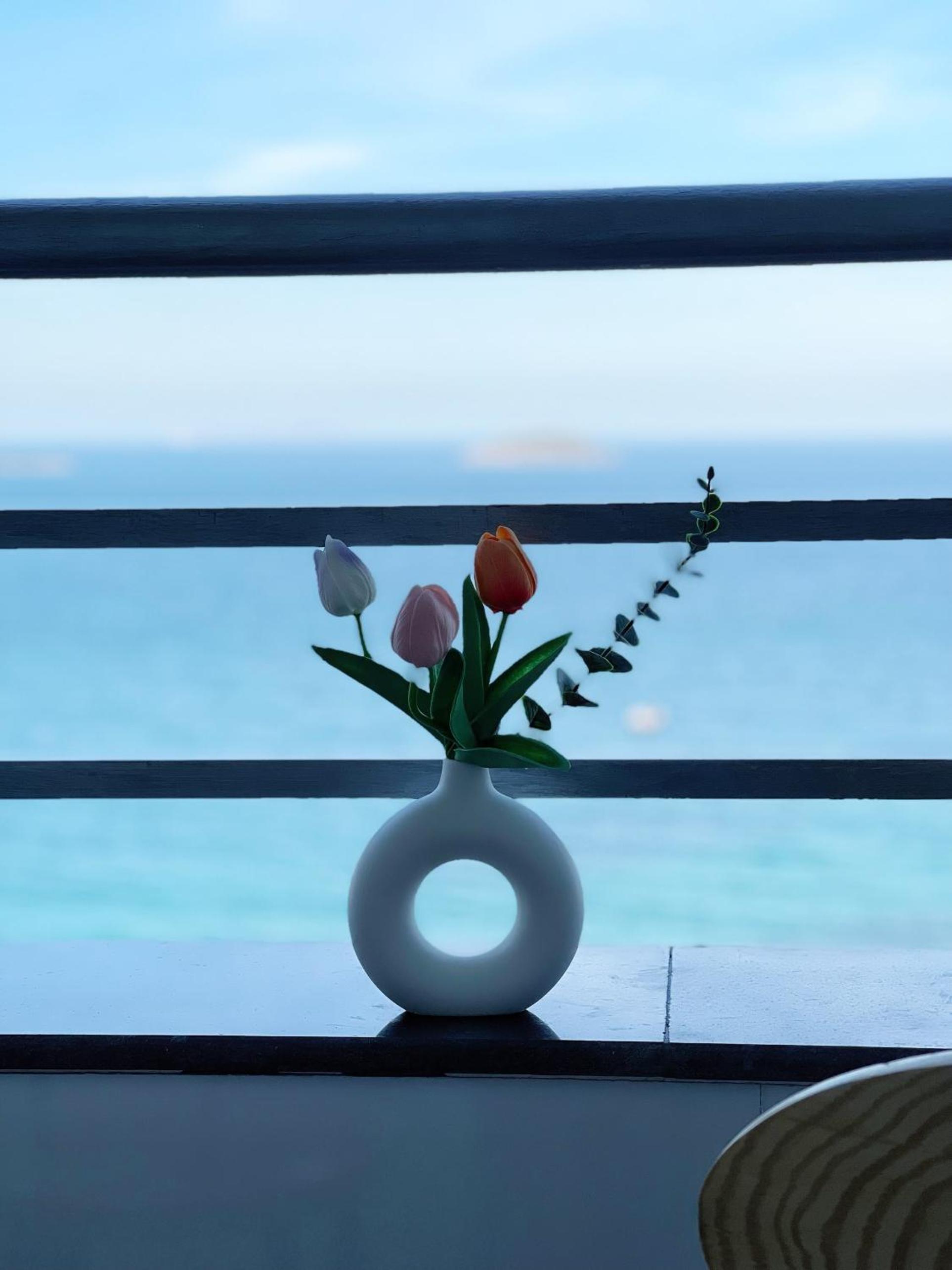 samara apartment