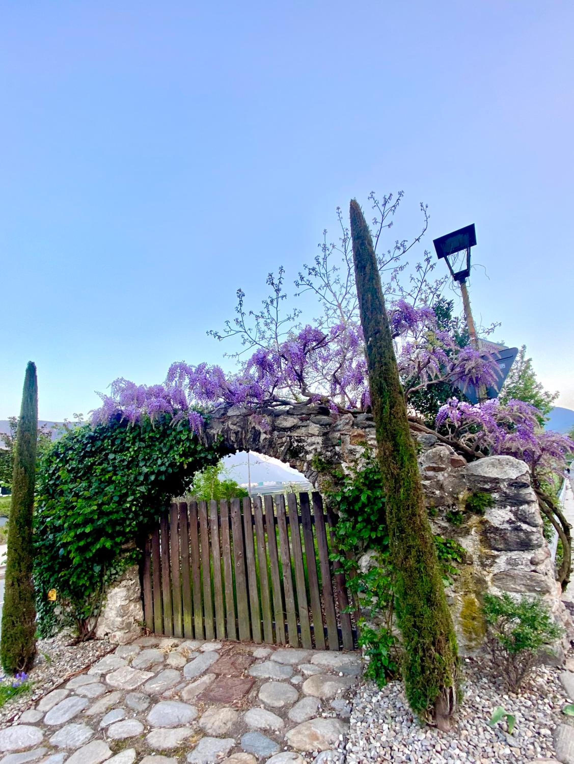 Appartement Primula - Haus Midi