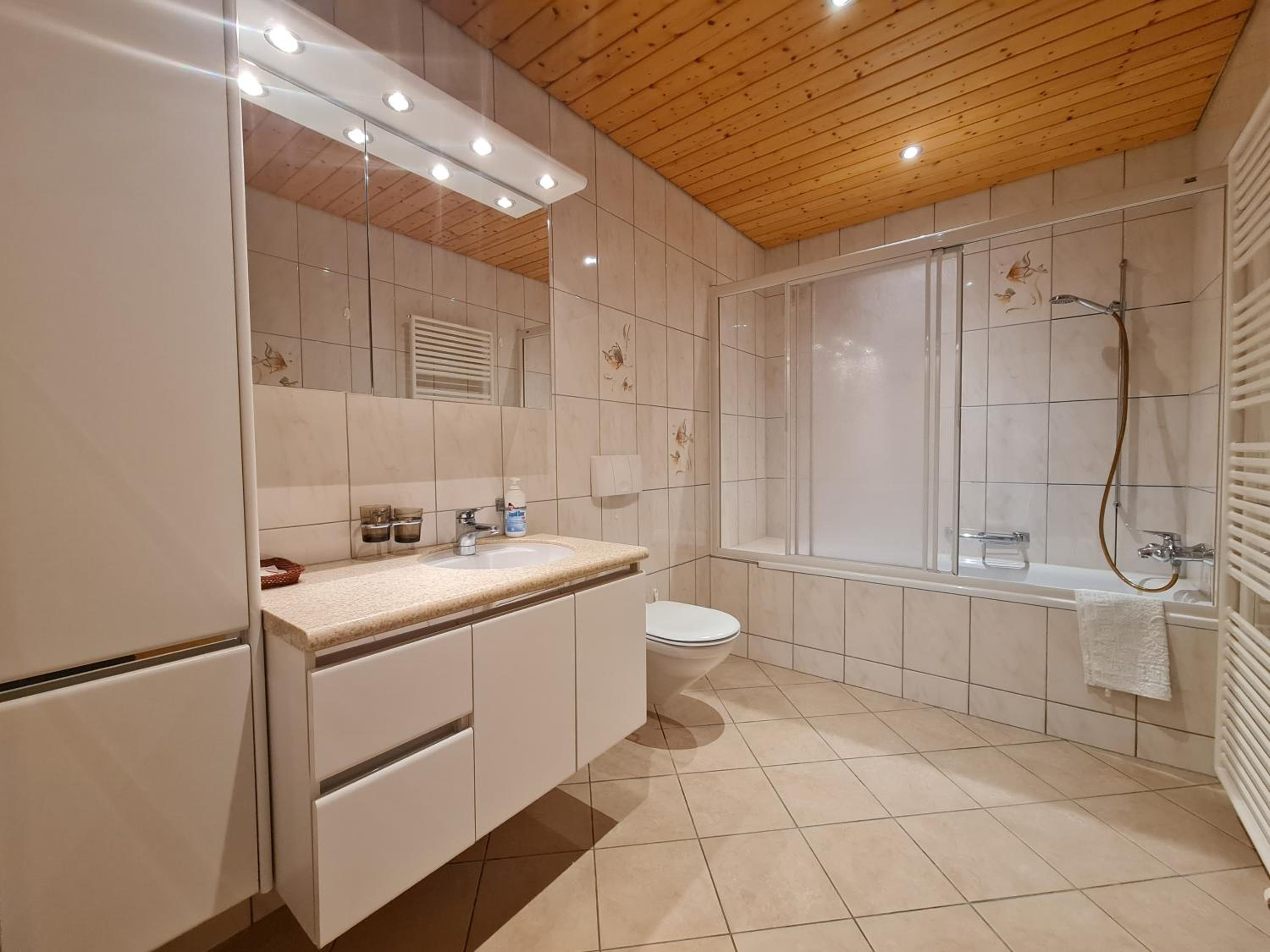 Dachwohnung in Welschenrohr