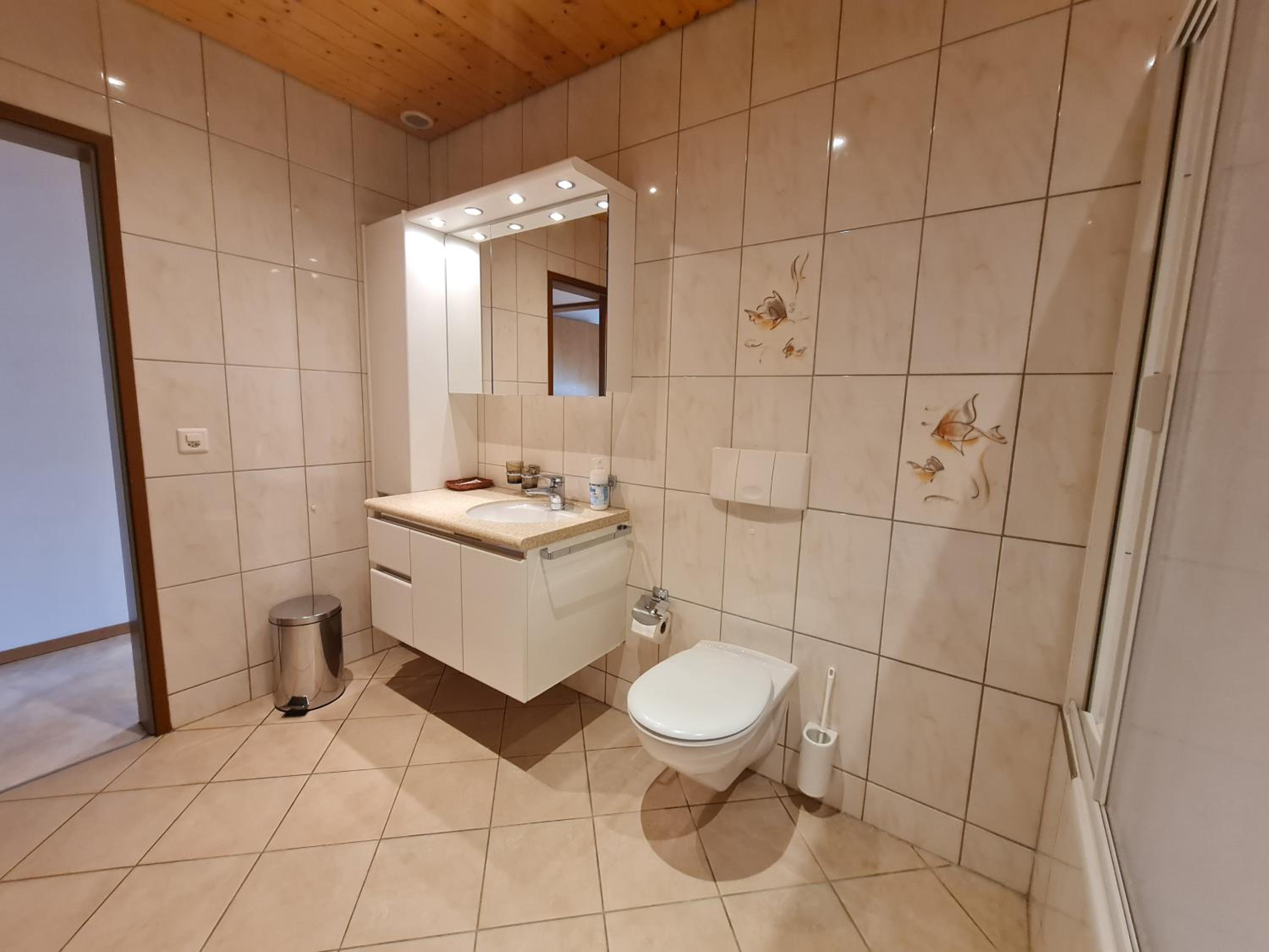 Dachwohnung in Welschenrohr