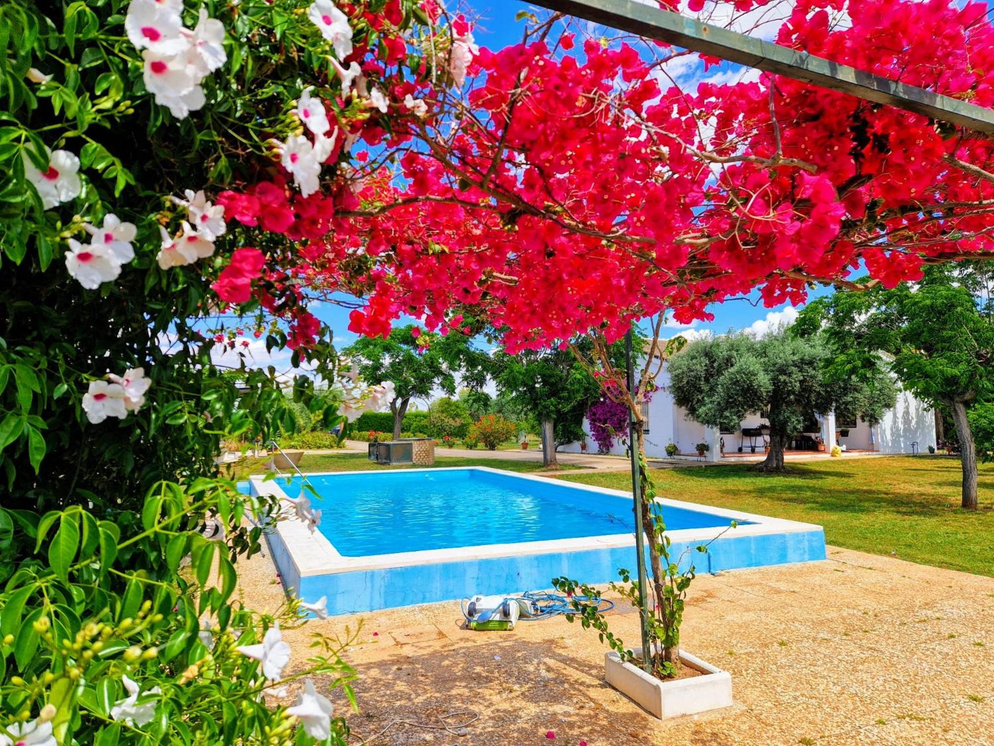 Casa en el campo cerca de sevilla view 4