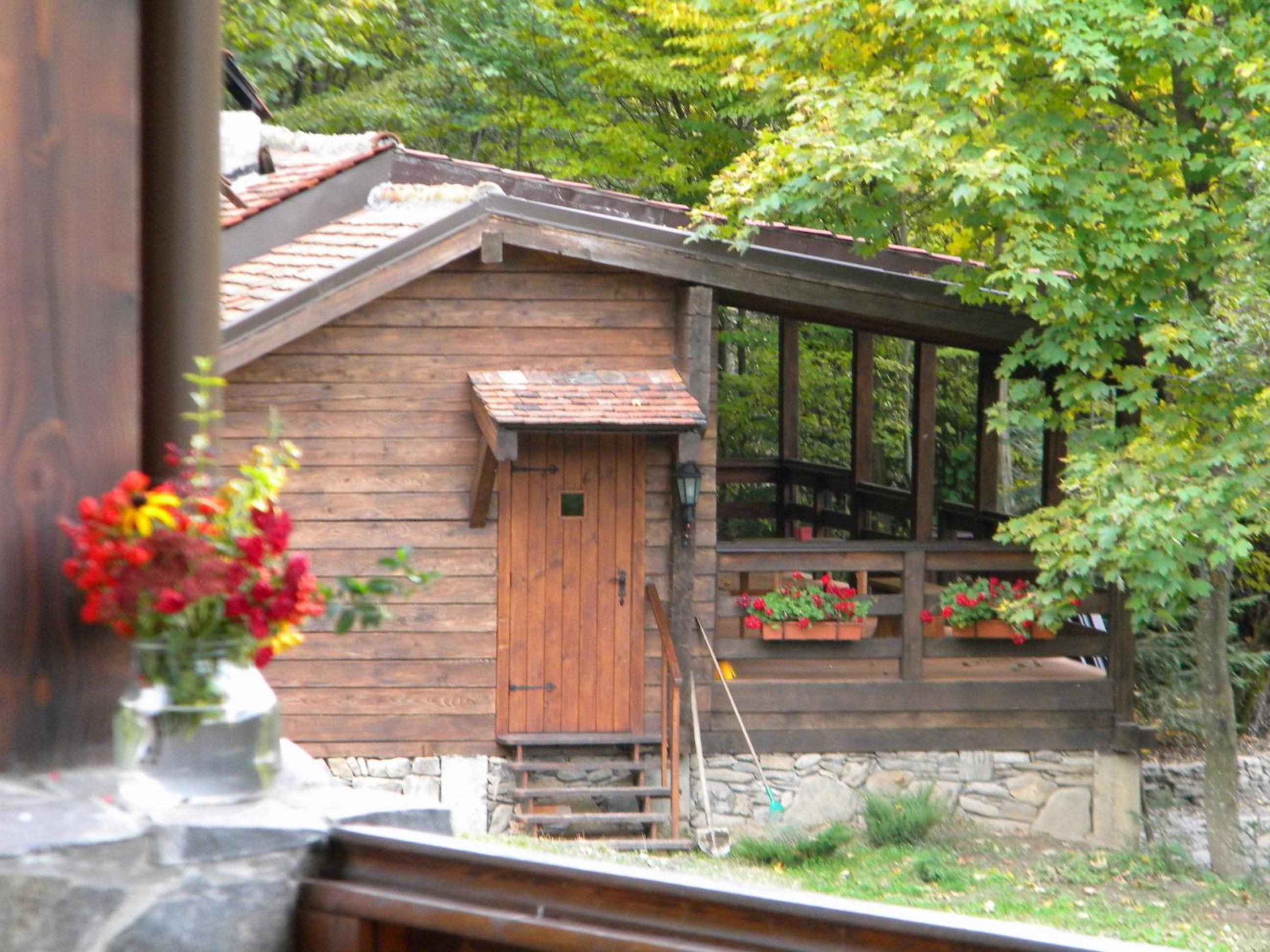 Photo 46