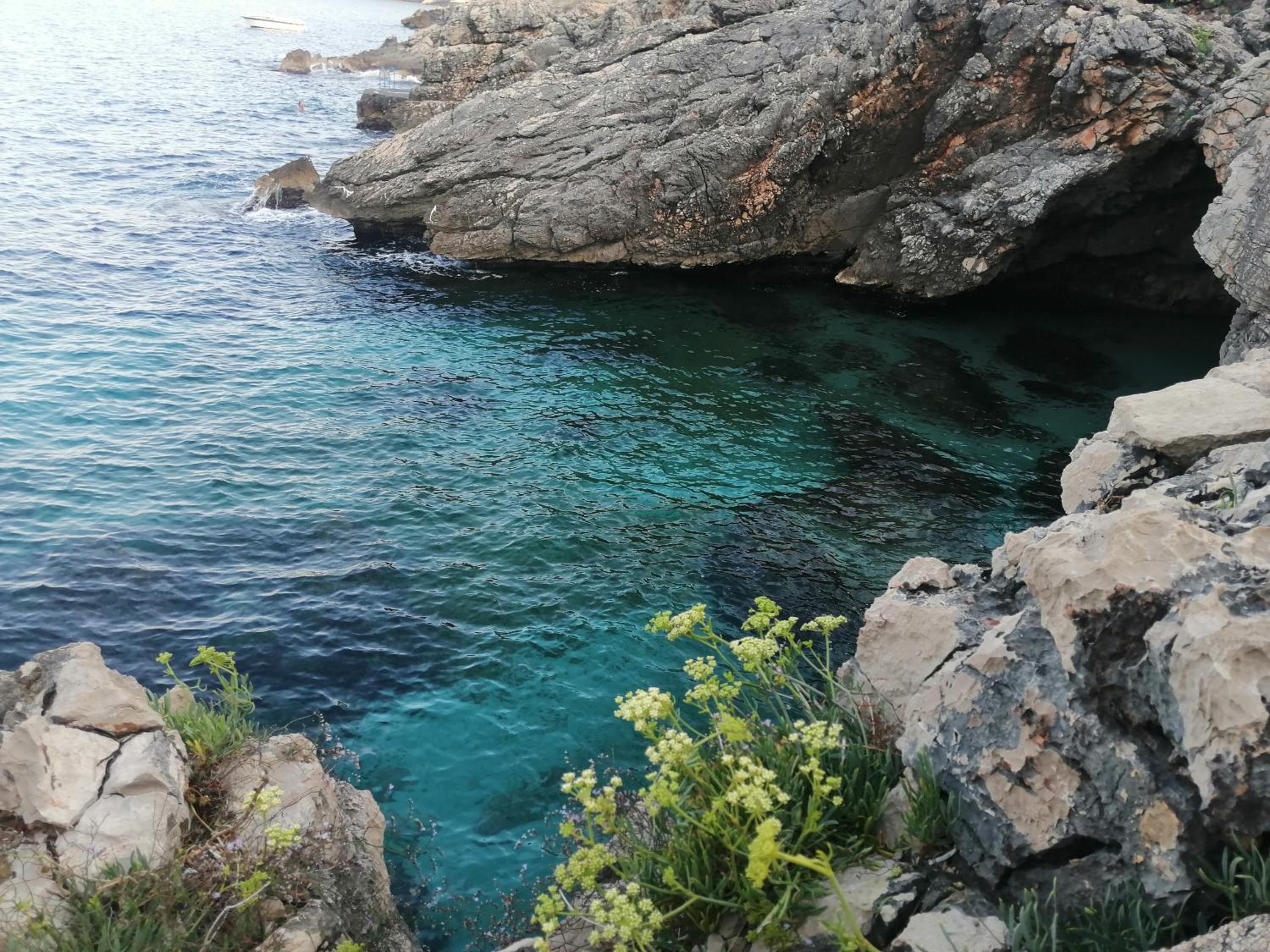 Apartmani Seaside