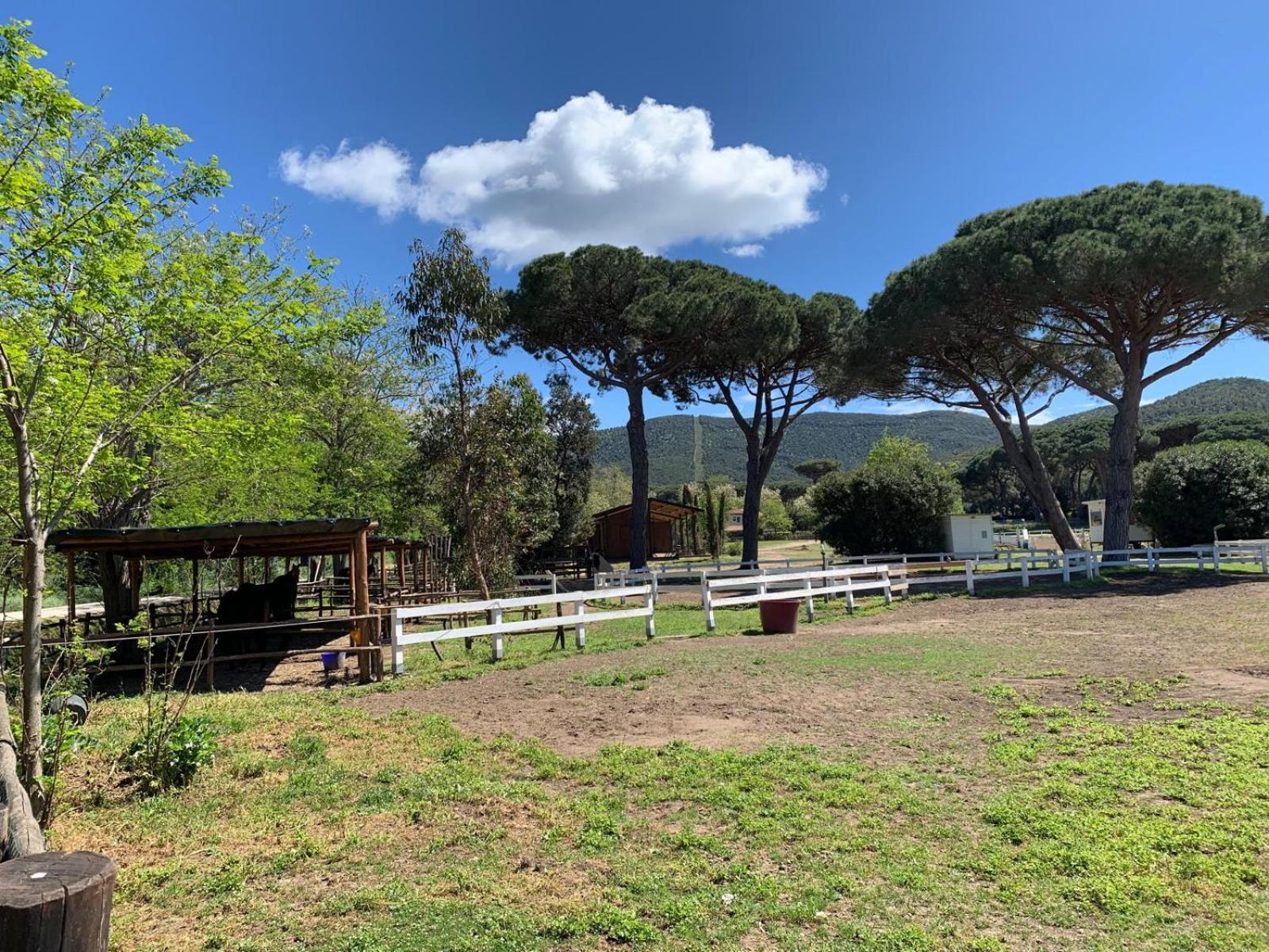 La casa delle stelle view 5