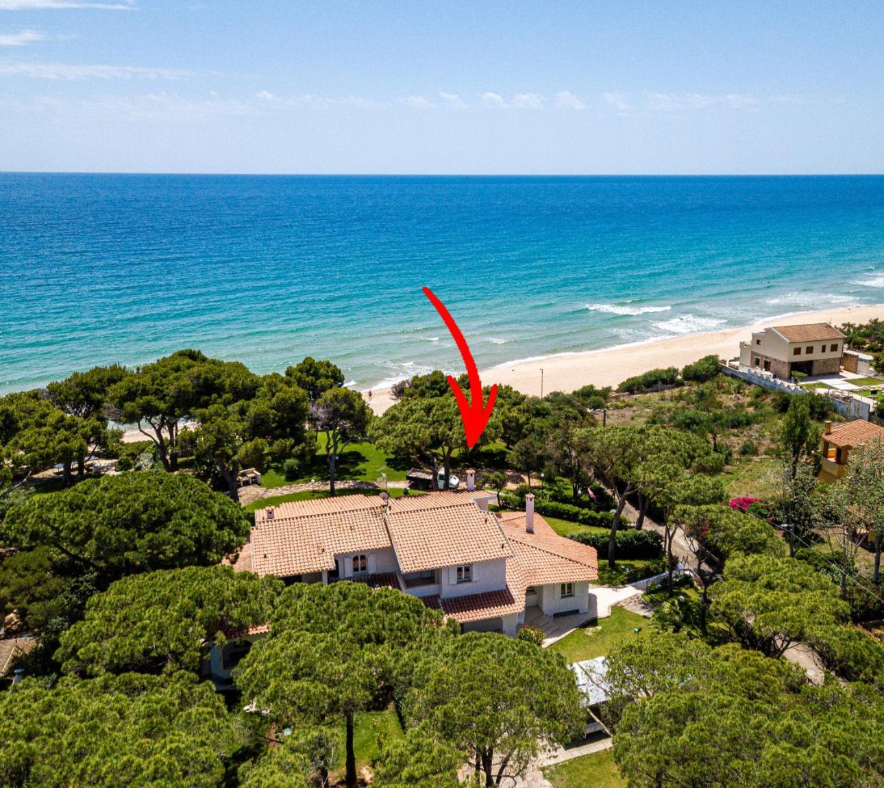 Villa Beachfront Marina photo 5