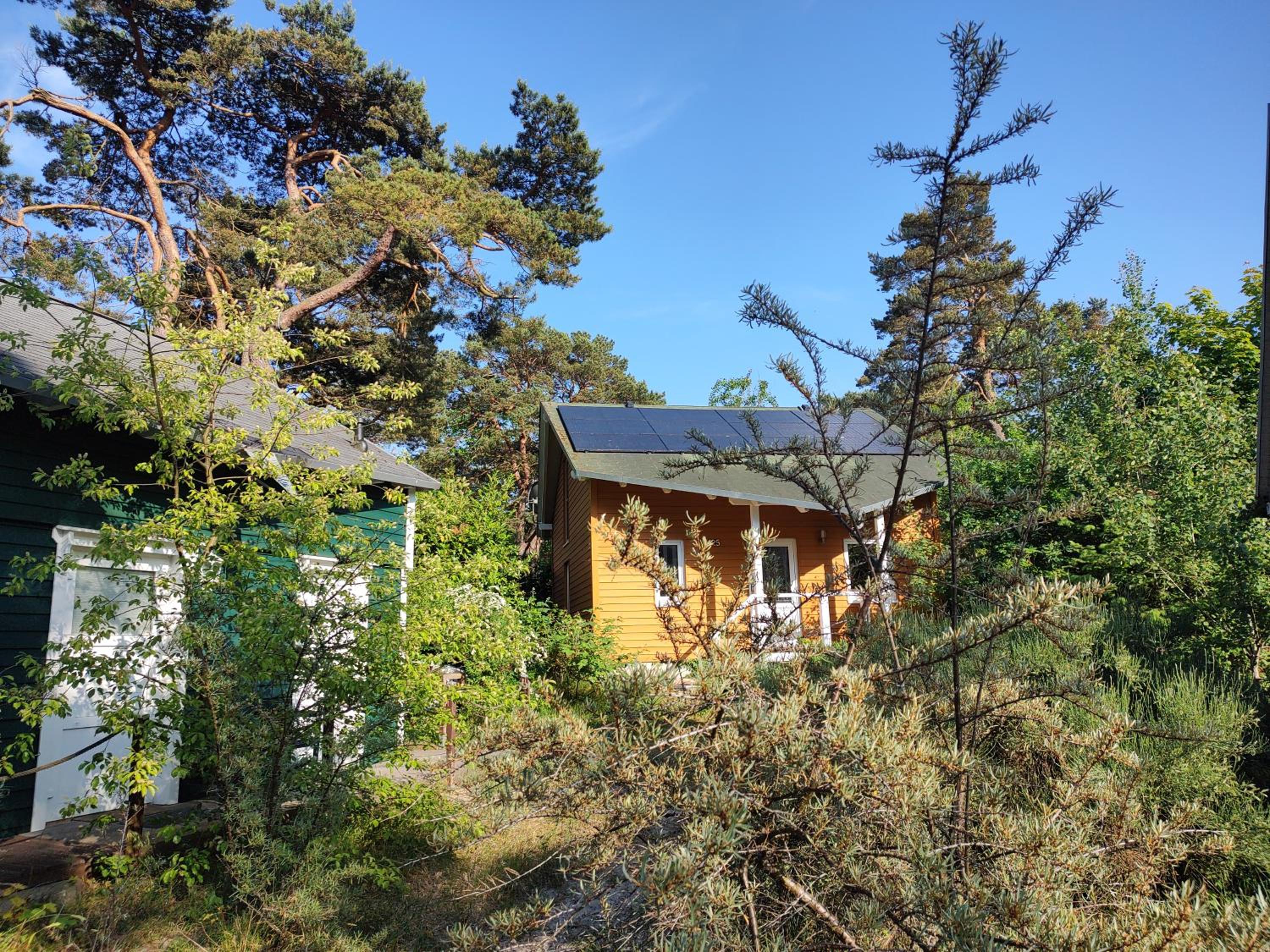 zu Haus in der Ferne