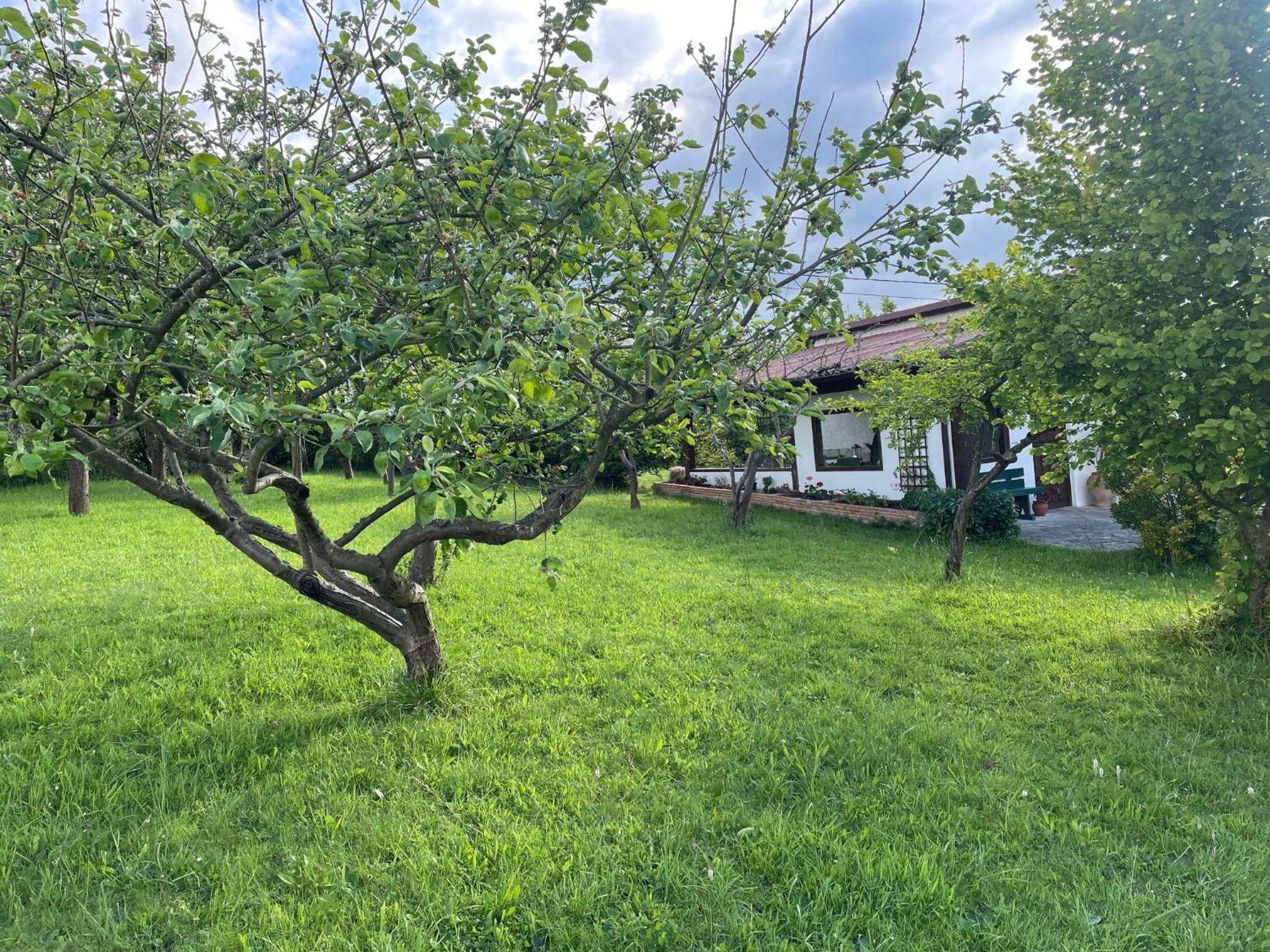 Casa Benjamín
