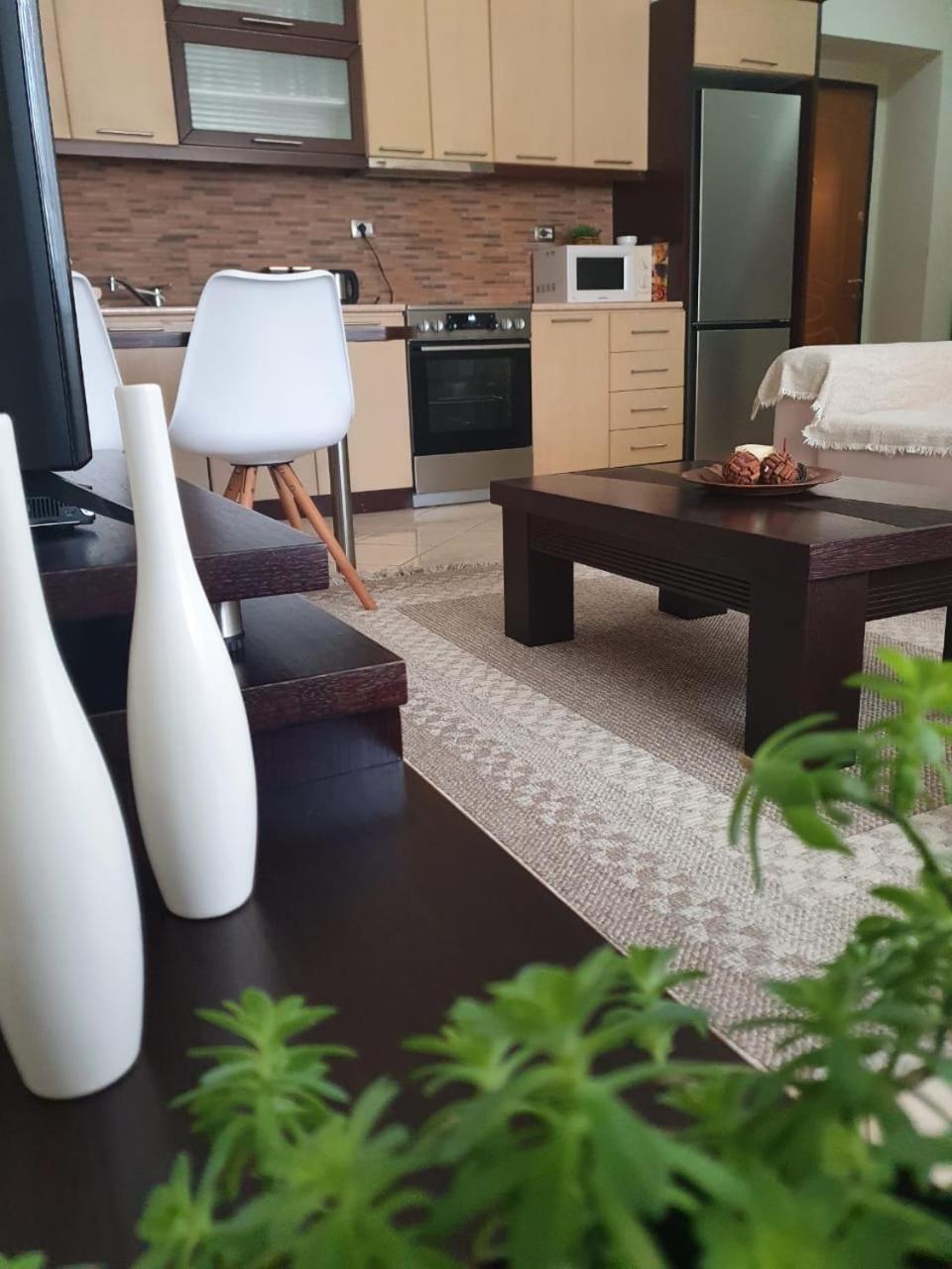 Sofia's modern apartment