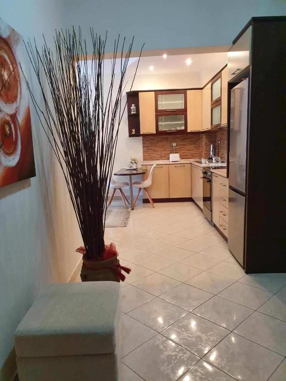 Sofia's modern apartment photo 3