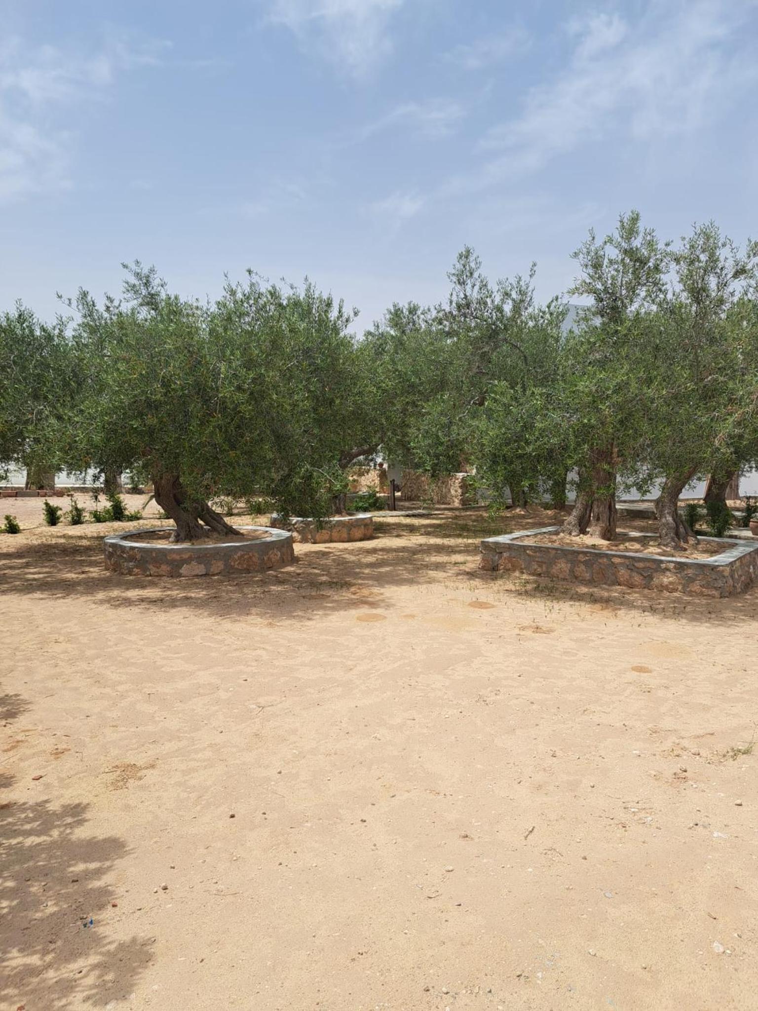 Photo 41