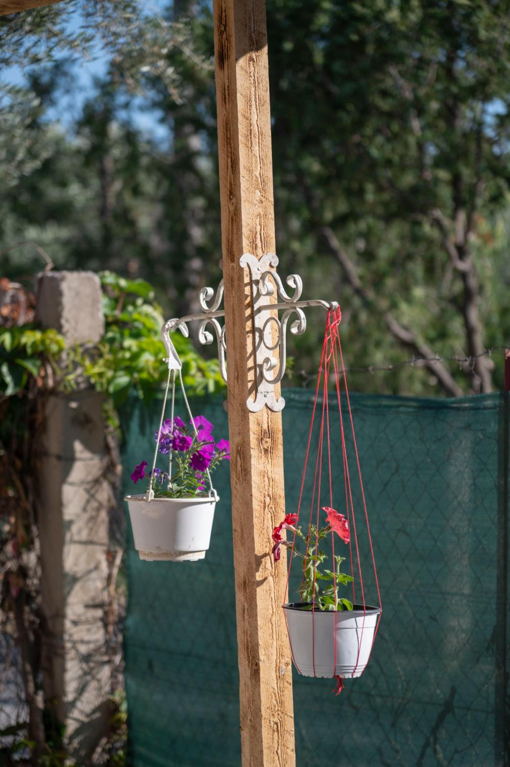 Photo 24