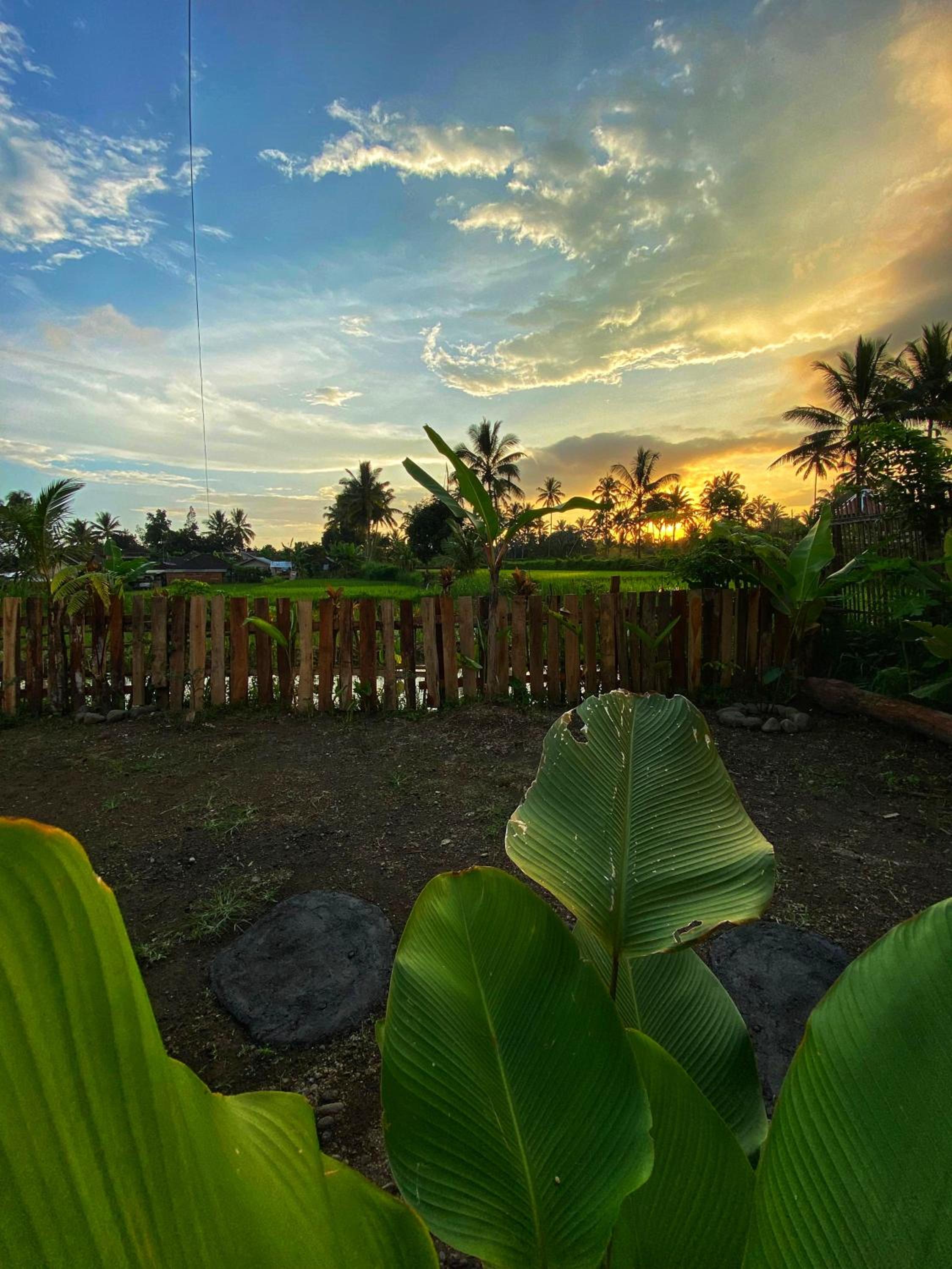 Alfarizi homestay