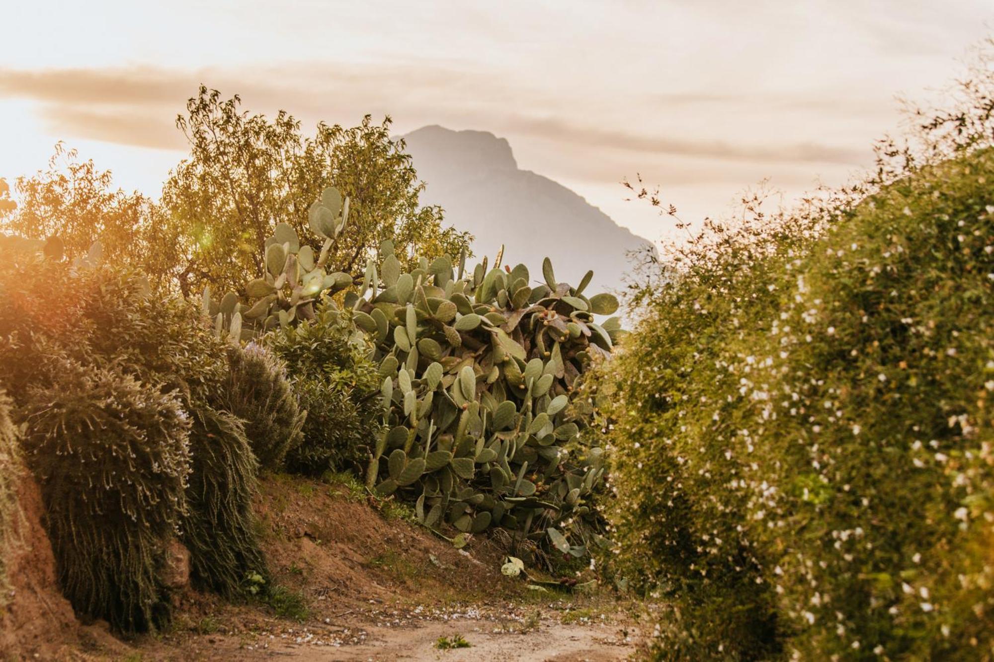 Terre Di Himera