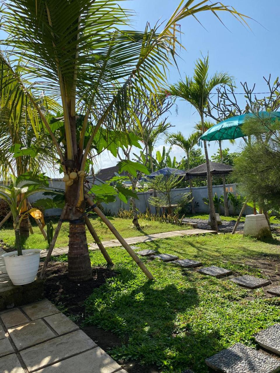 Sumbul View Surfcamp