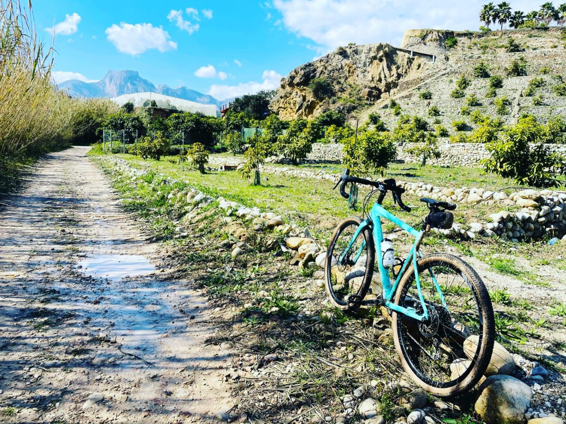 New Calm & Charming Loft Altea photo 5