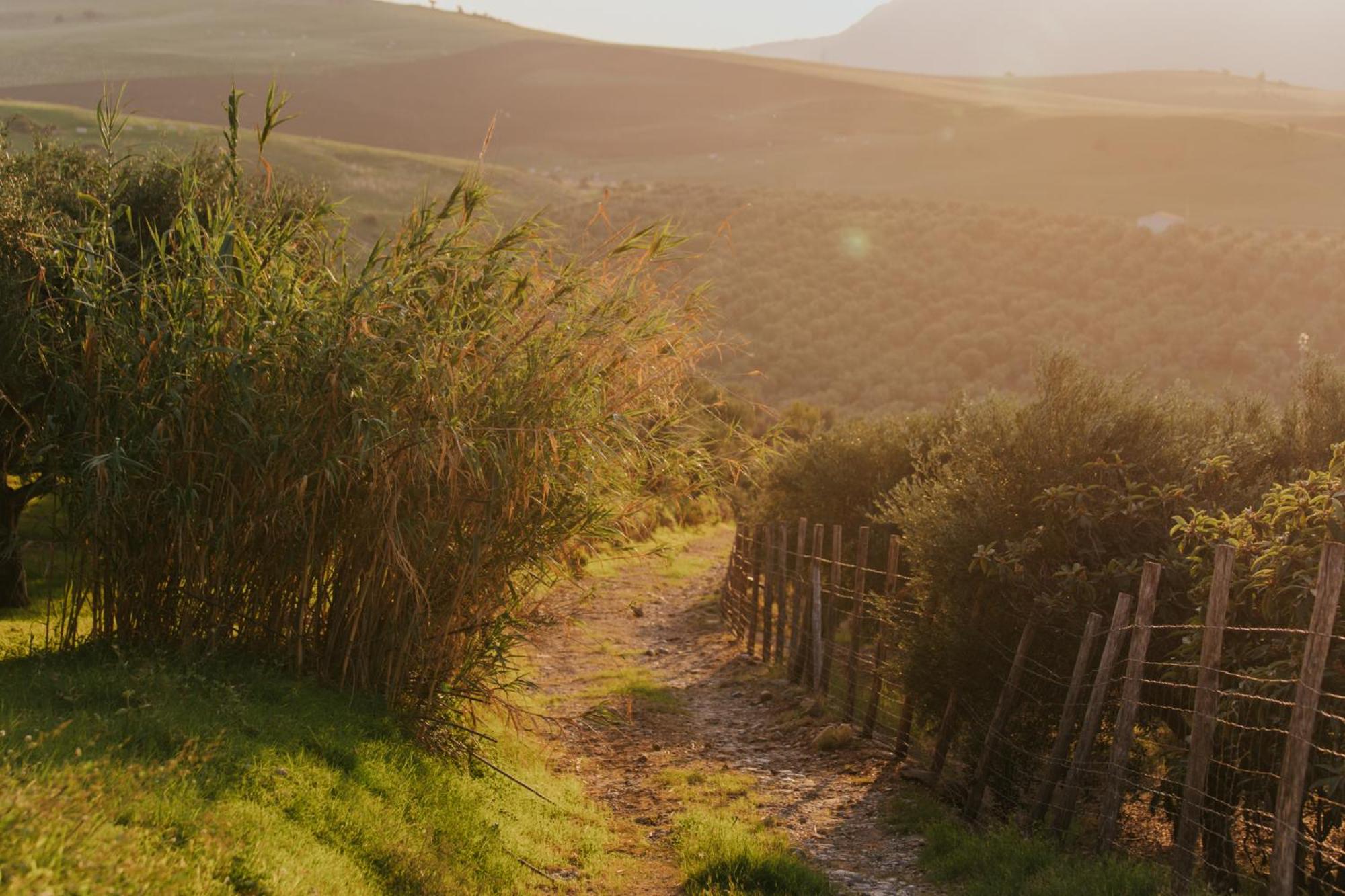 Terre Di Himera