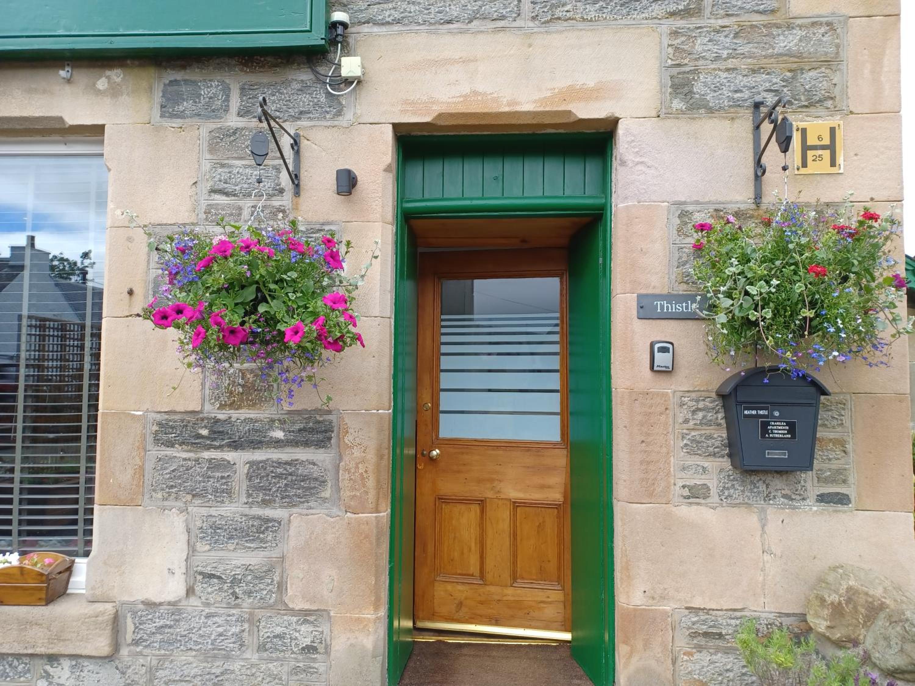 Craiglea Thistle view 4
