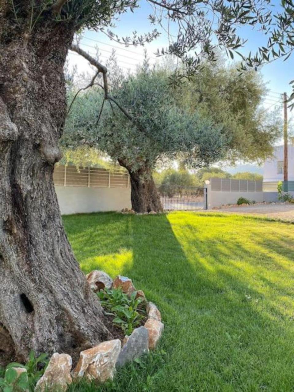 Olives Villa