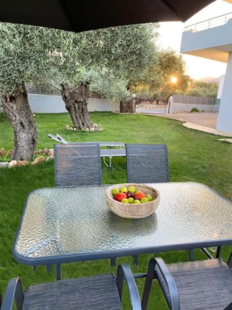 Olives Villa
