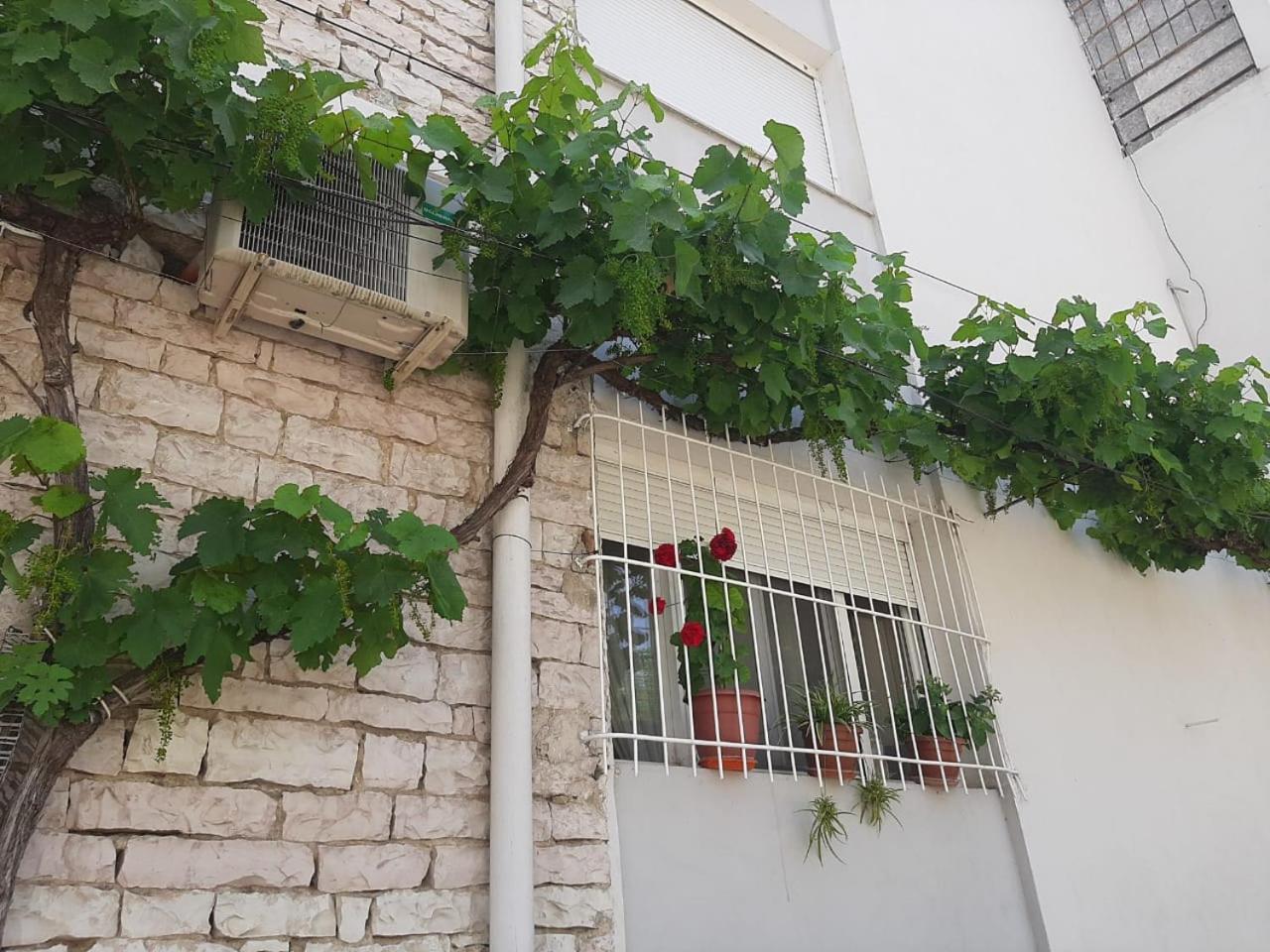 Sofia's modern apartment