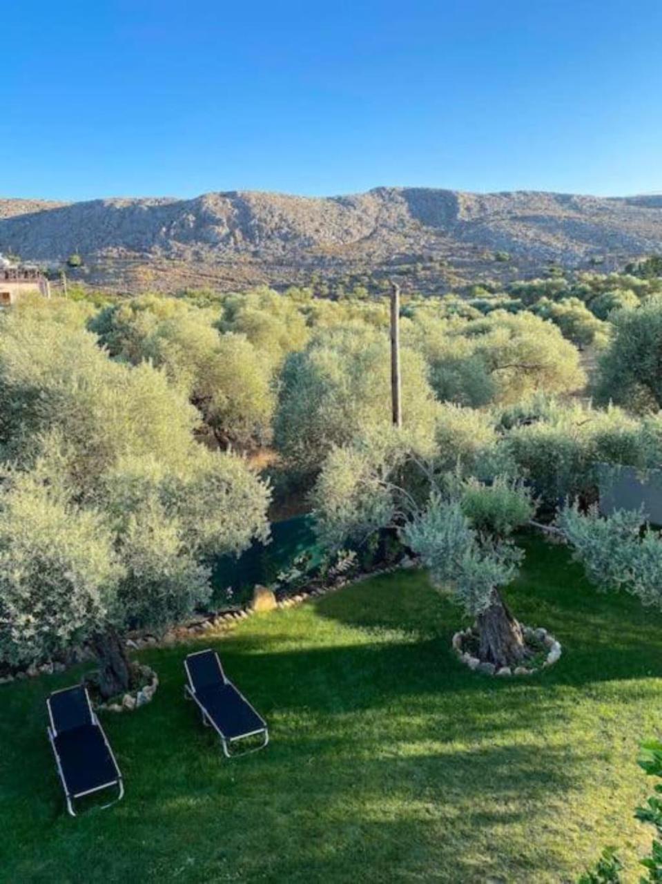 Olives Villa