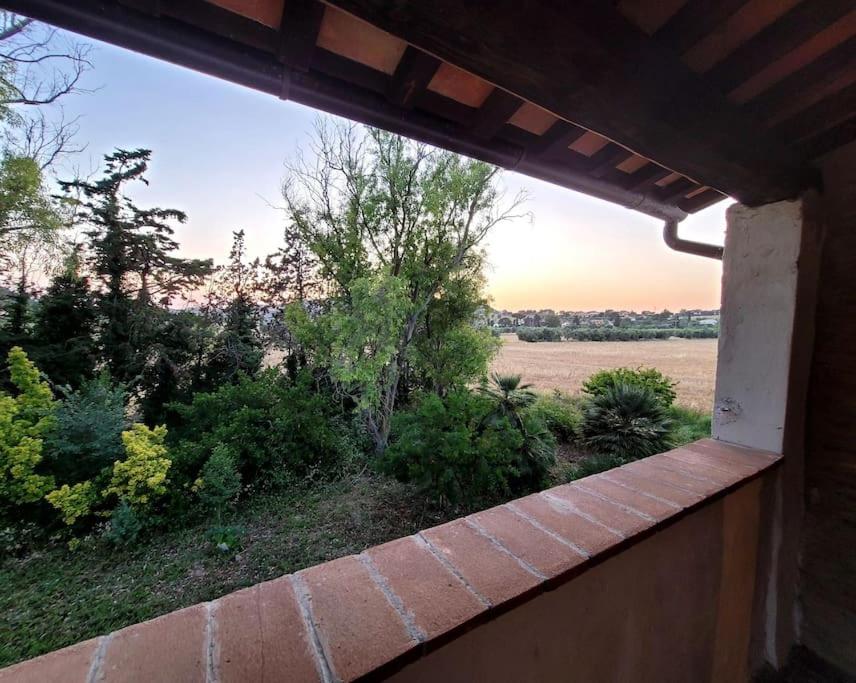 Relax in Tuscany view 3