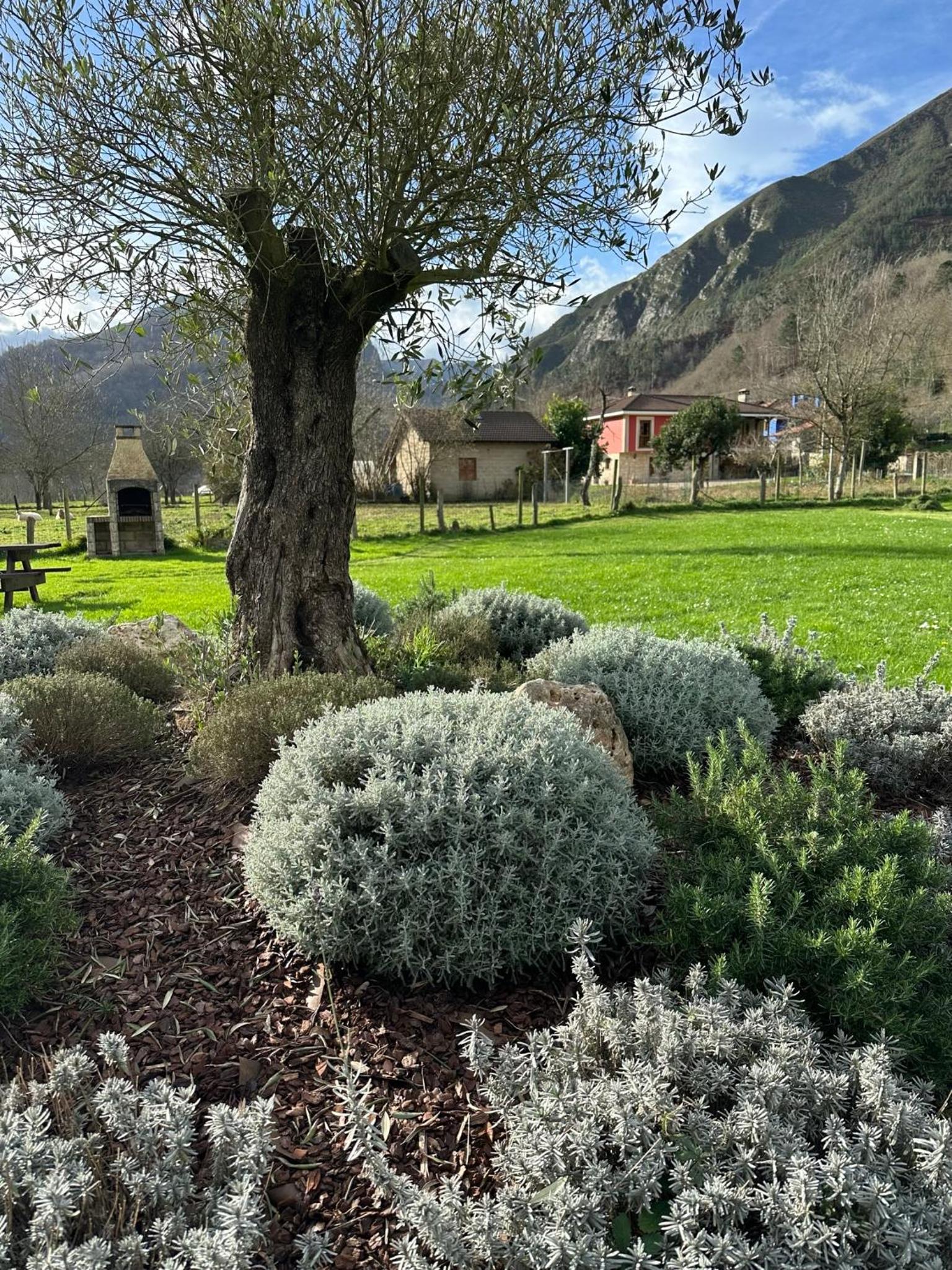Casa Rural Ñasares photo 4