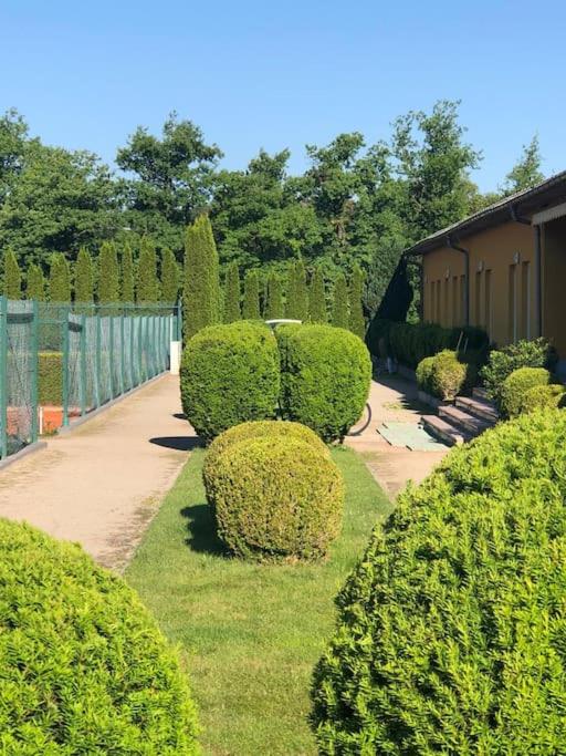 Apartment number 4