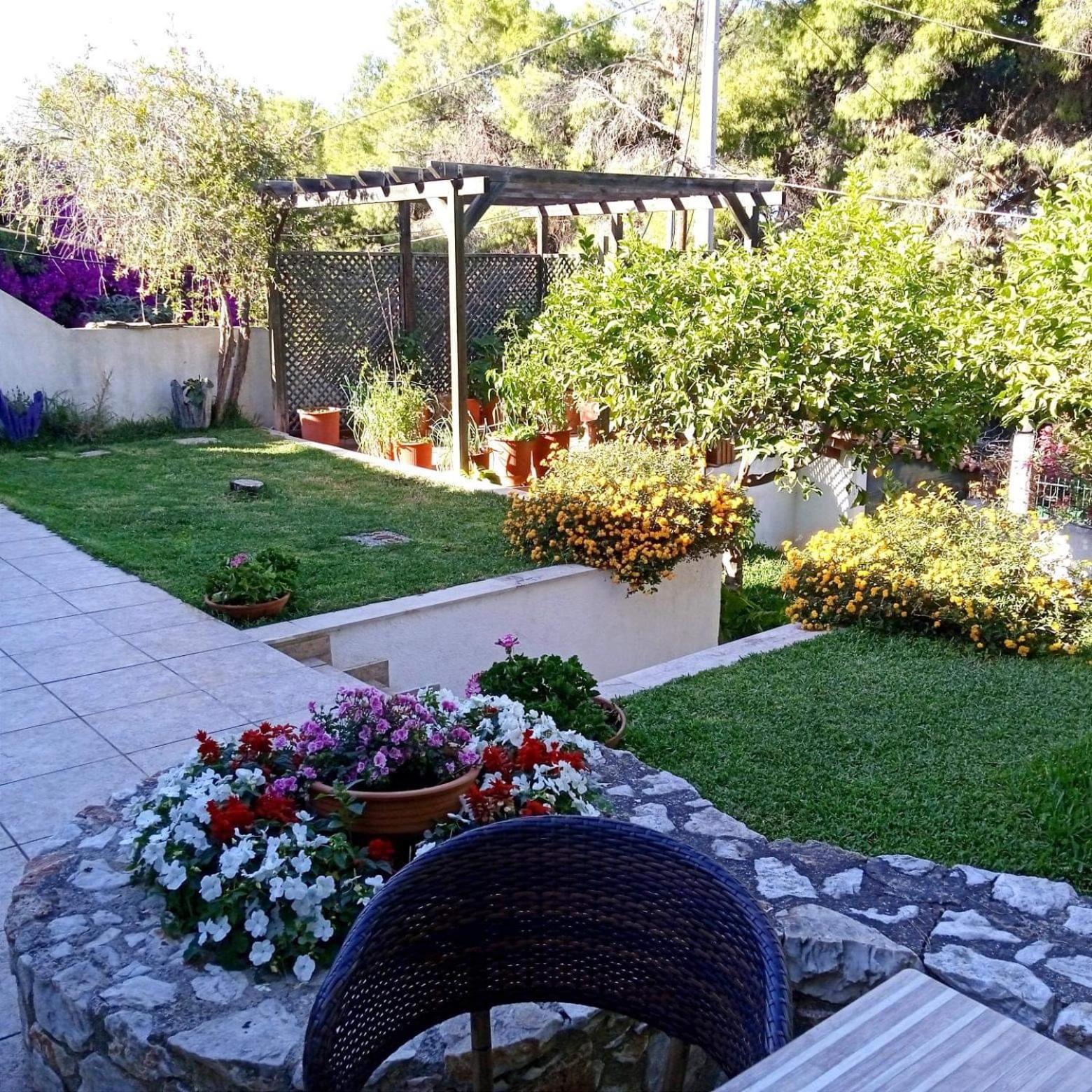 Photo 6