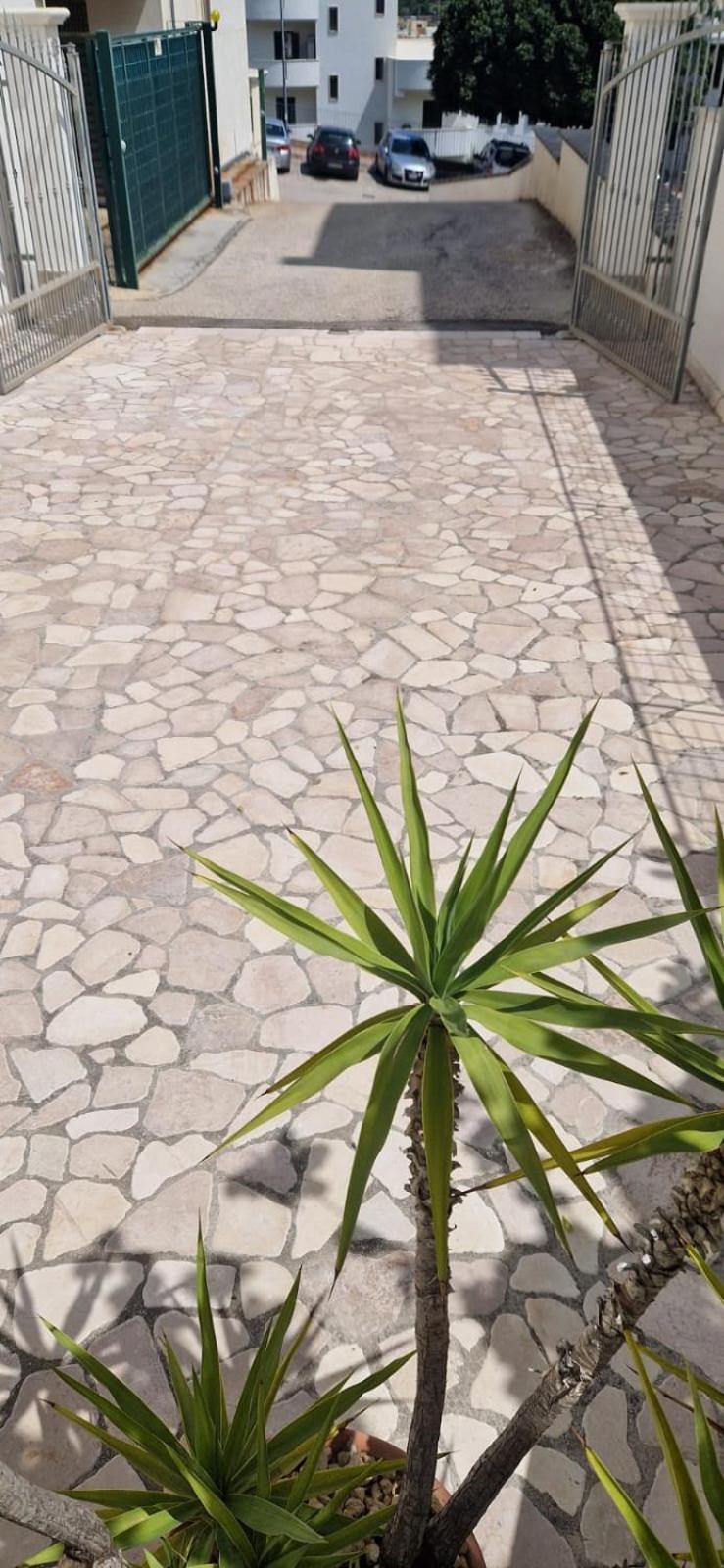 Dimora le Camelie photo 3