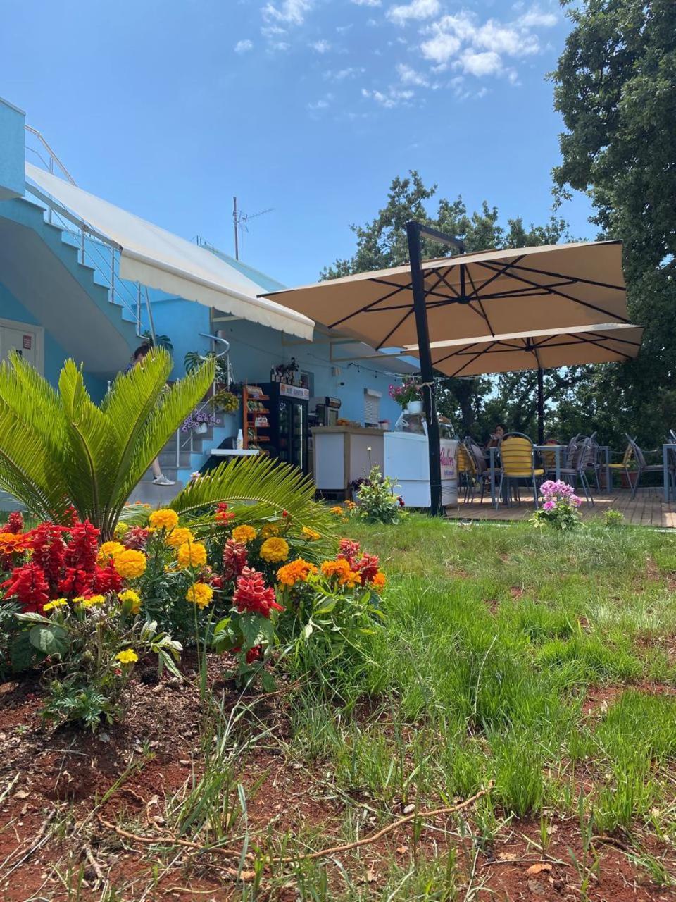 Blu Horizon Hotel Gjipe