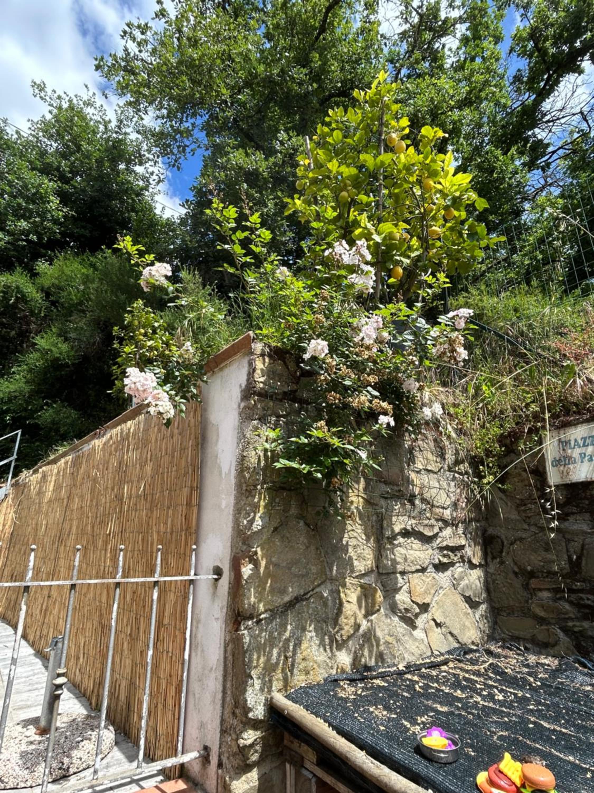 Vacanze toscane Relax privacy