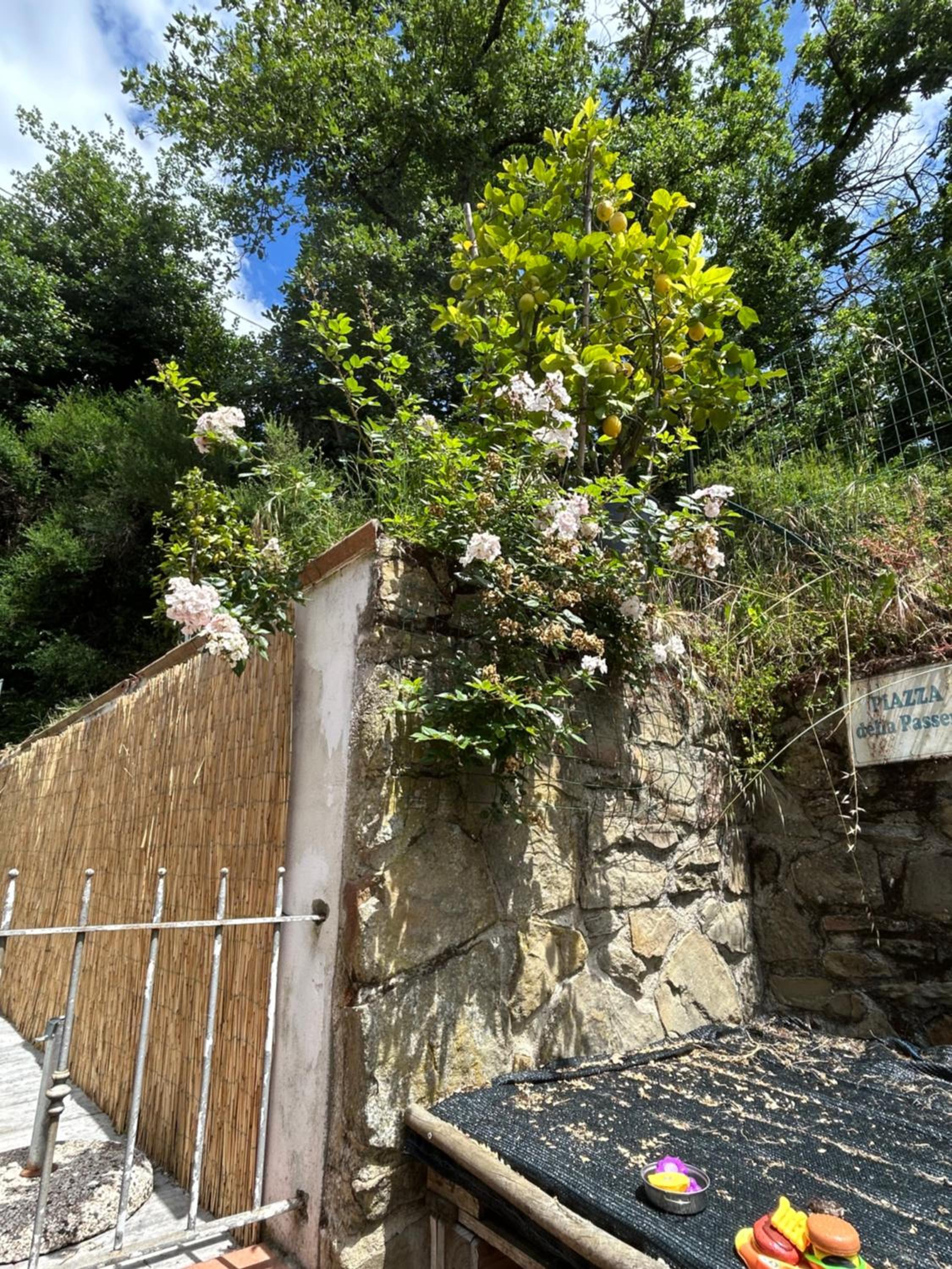Vacanze toscane Relax privacy